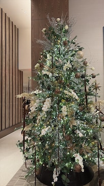 Hotel maravilhoso, fiquei encantada com a decoração de Natal đ