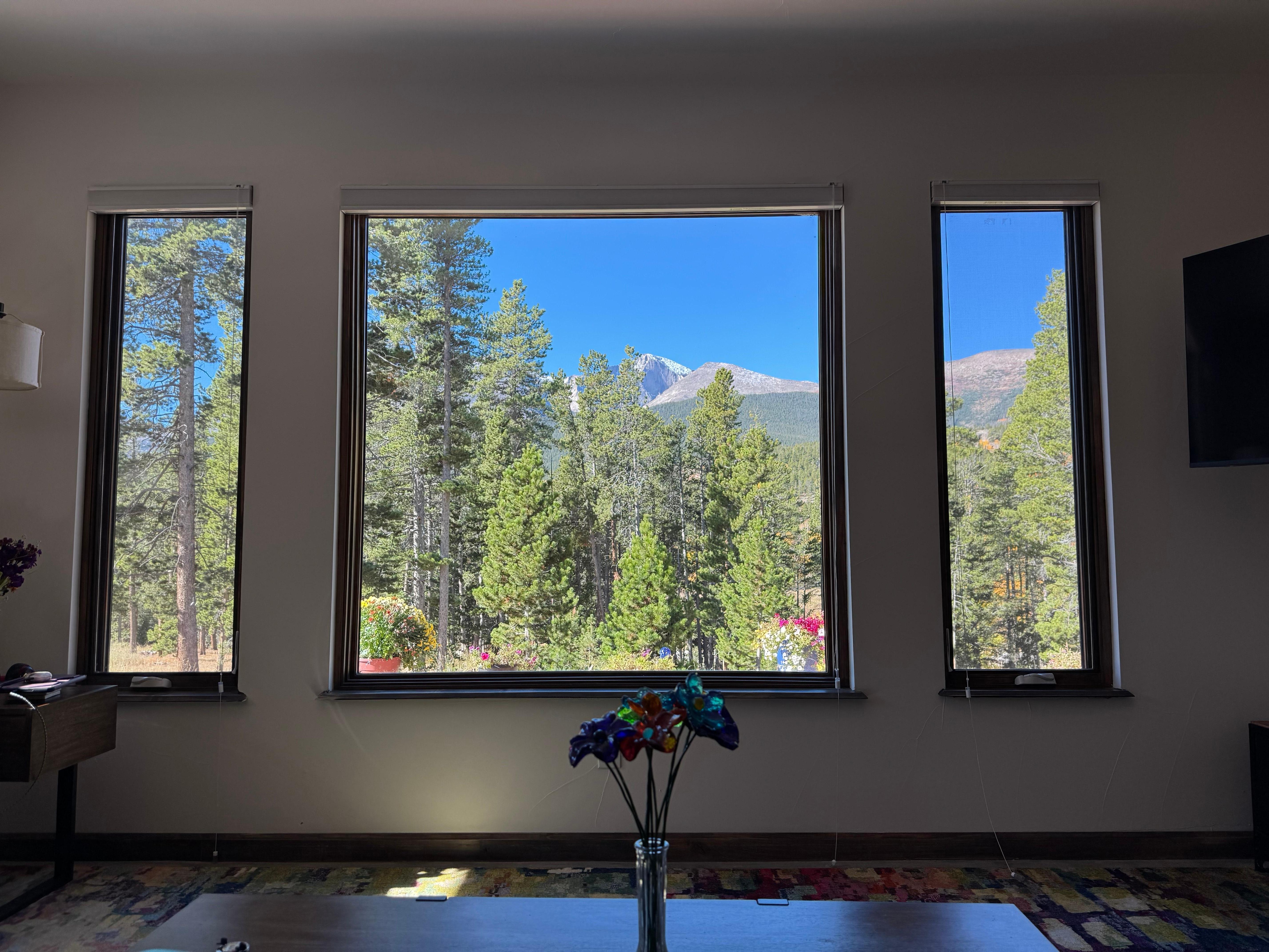 Beautiful view from the living area.