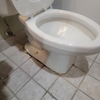 Toilet not caulked and not sure who thought expansion foam was a good idea round the toilet.