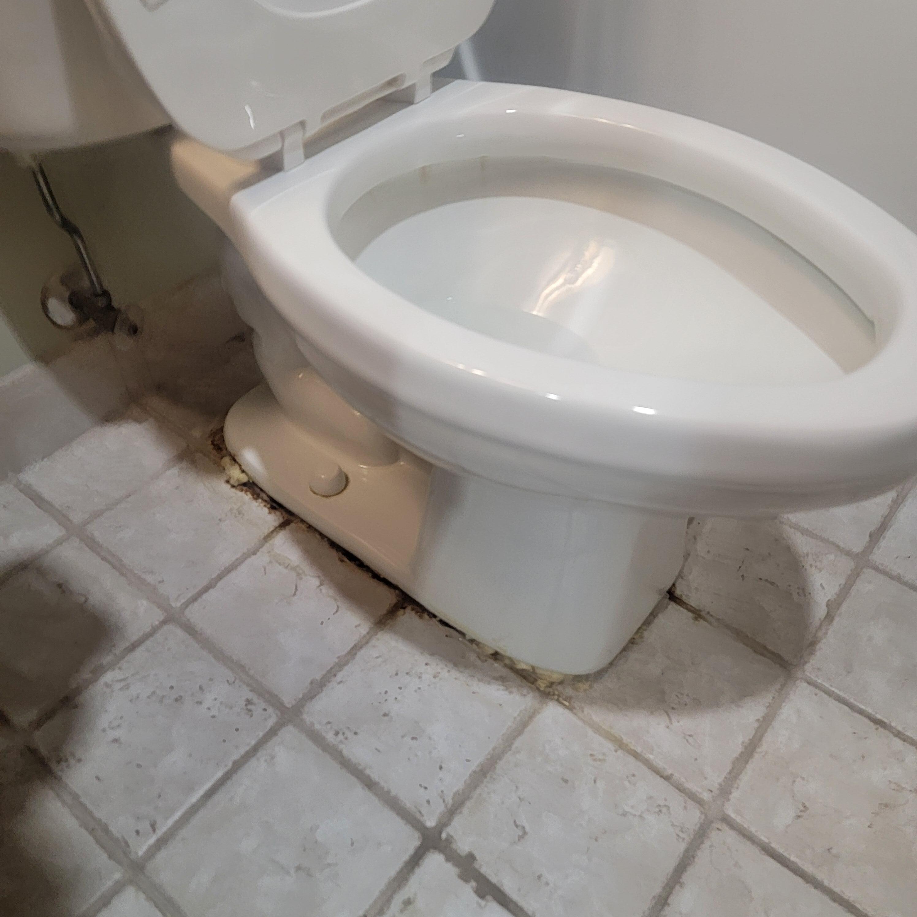 Toilet not caulked and not sure who thought expansion foam was a good idea round the toilet.