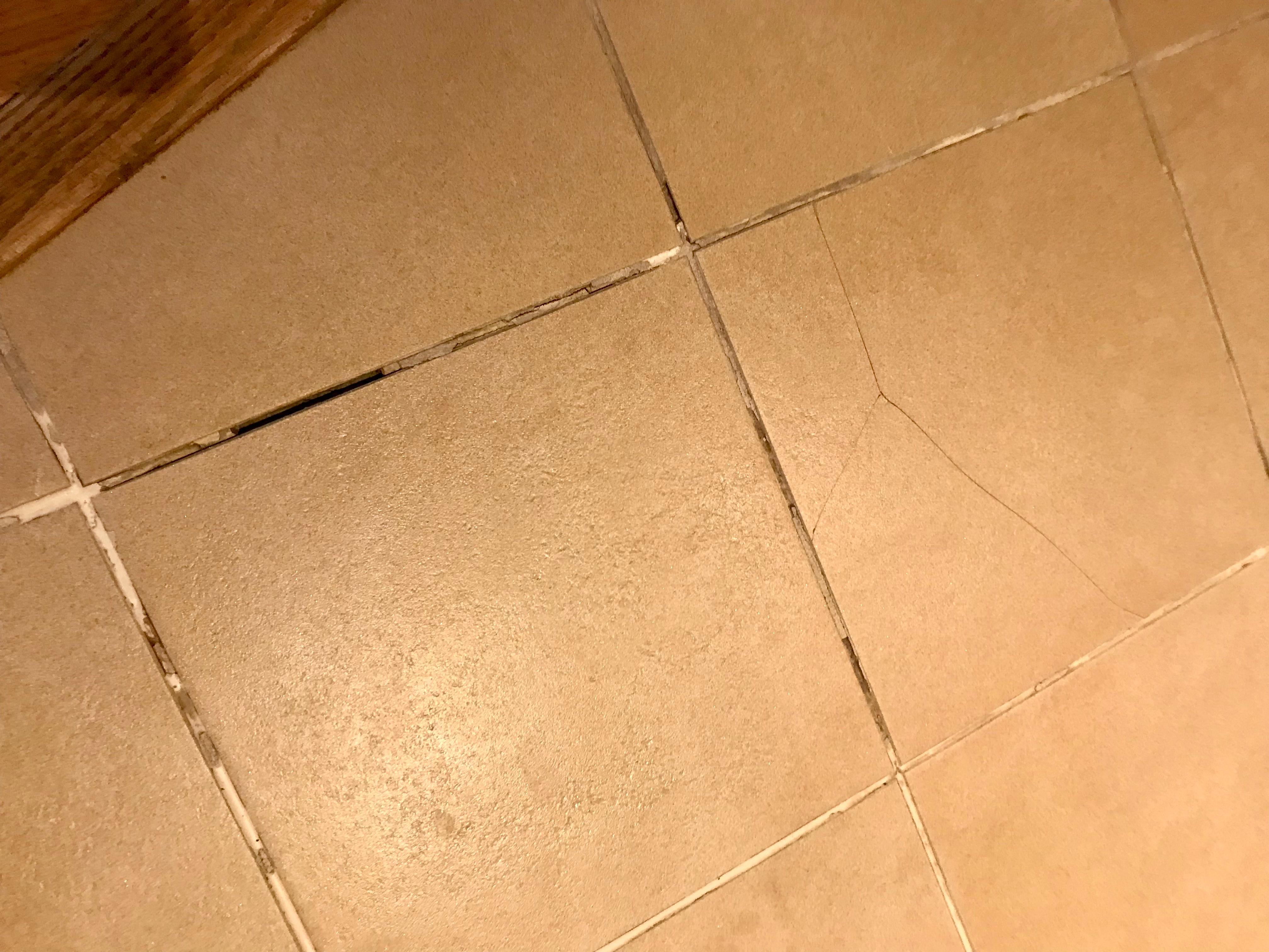 Cracked tile, missing grout 