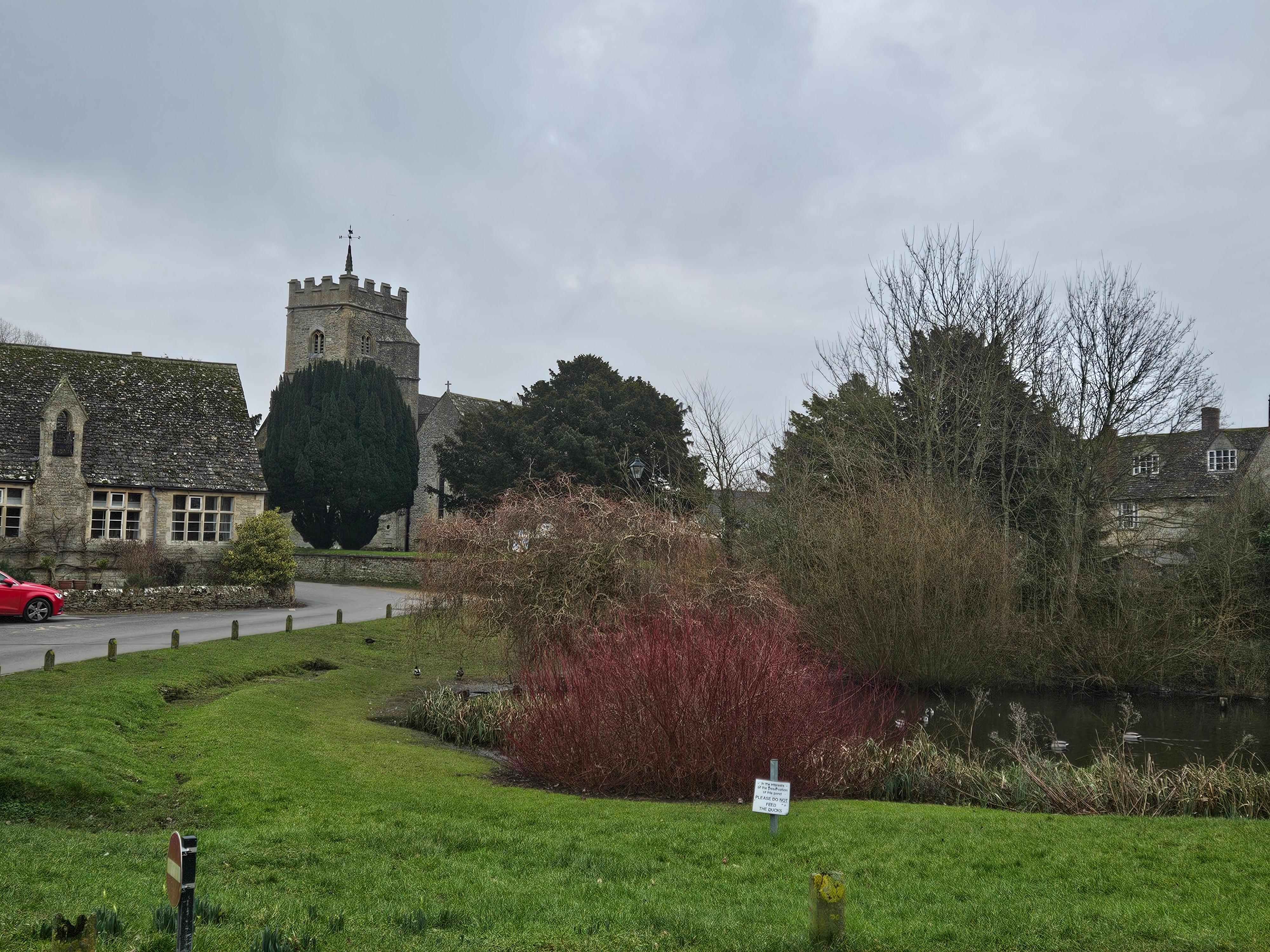 The pond at Ducklington