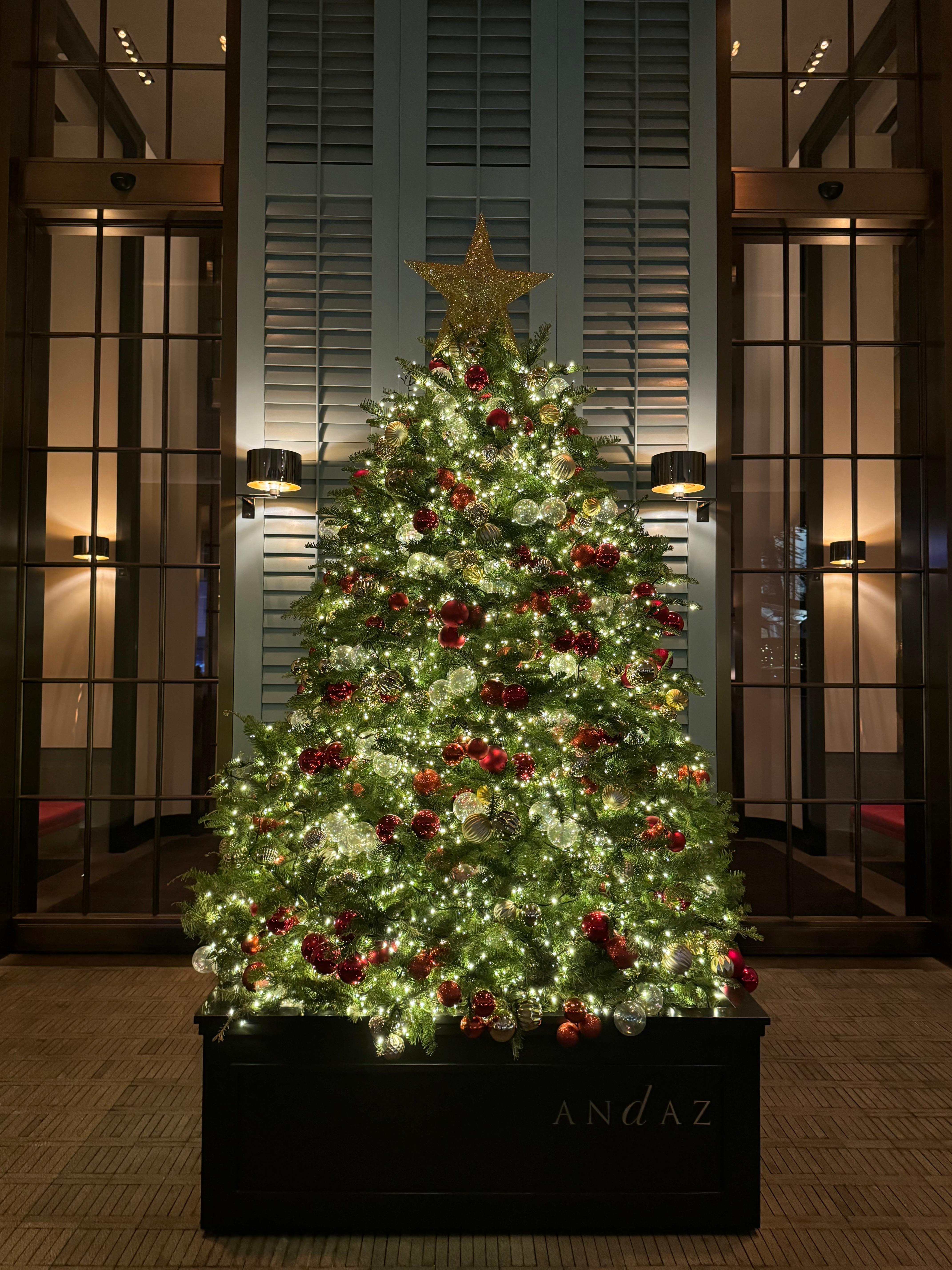 Beautiful Christmas tree at the entrance 