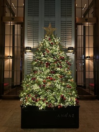 Beautiful Christmas tree at the entrance