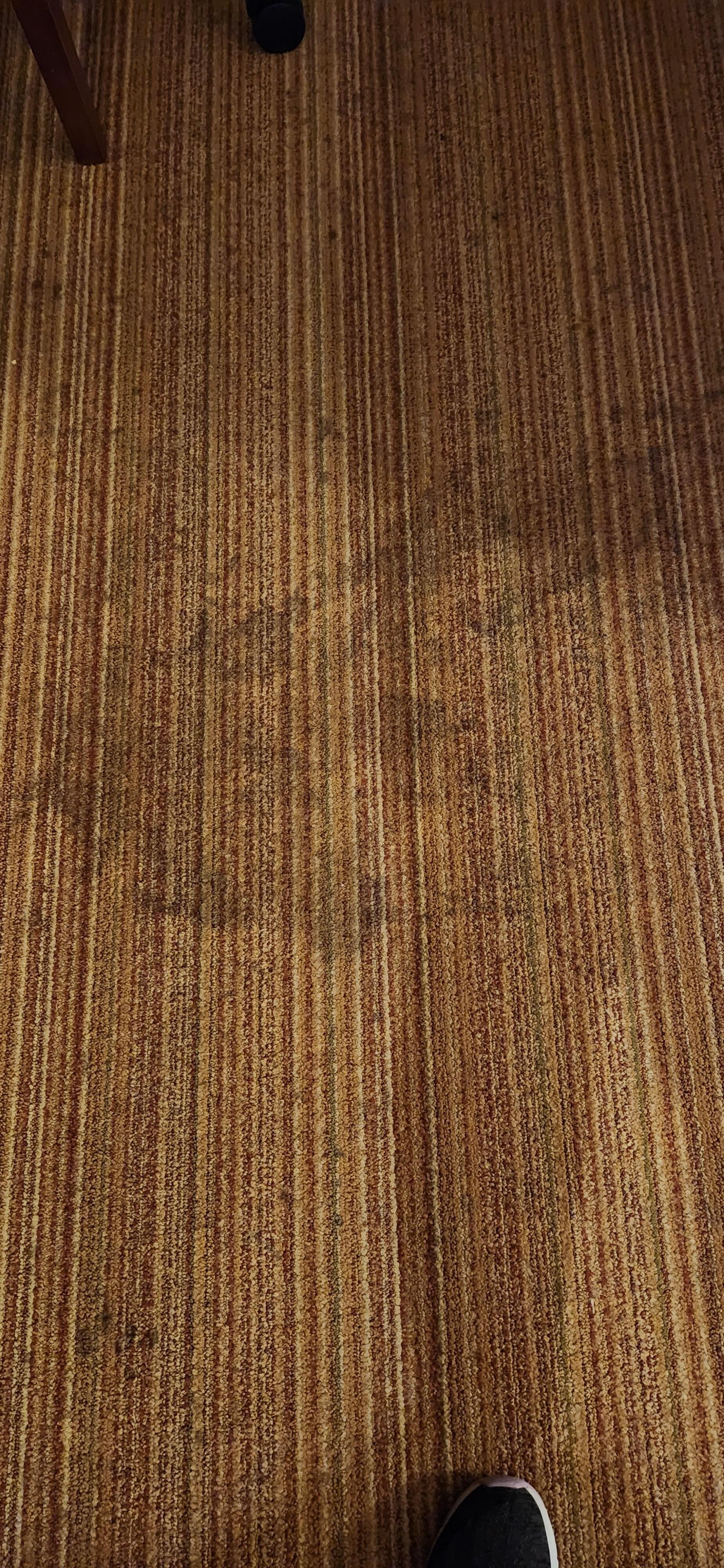 Stain on carpet