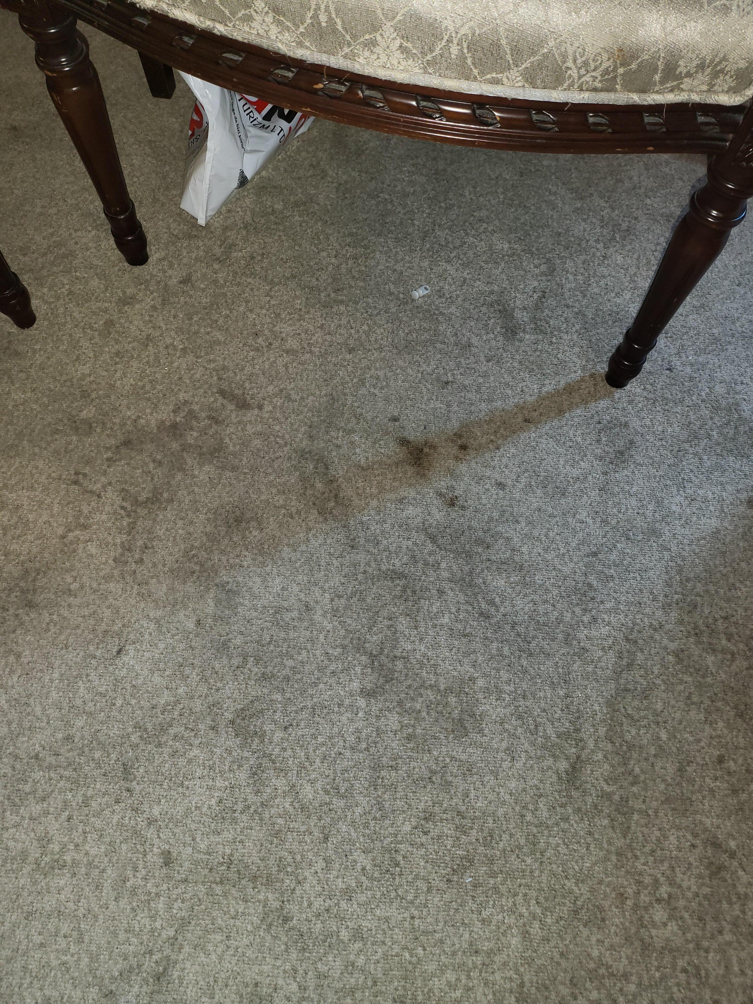 Cofee and other stains