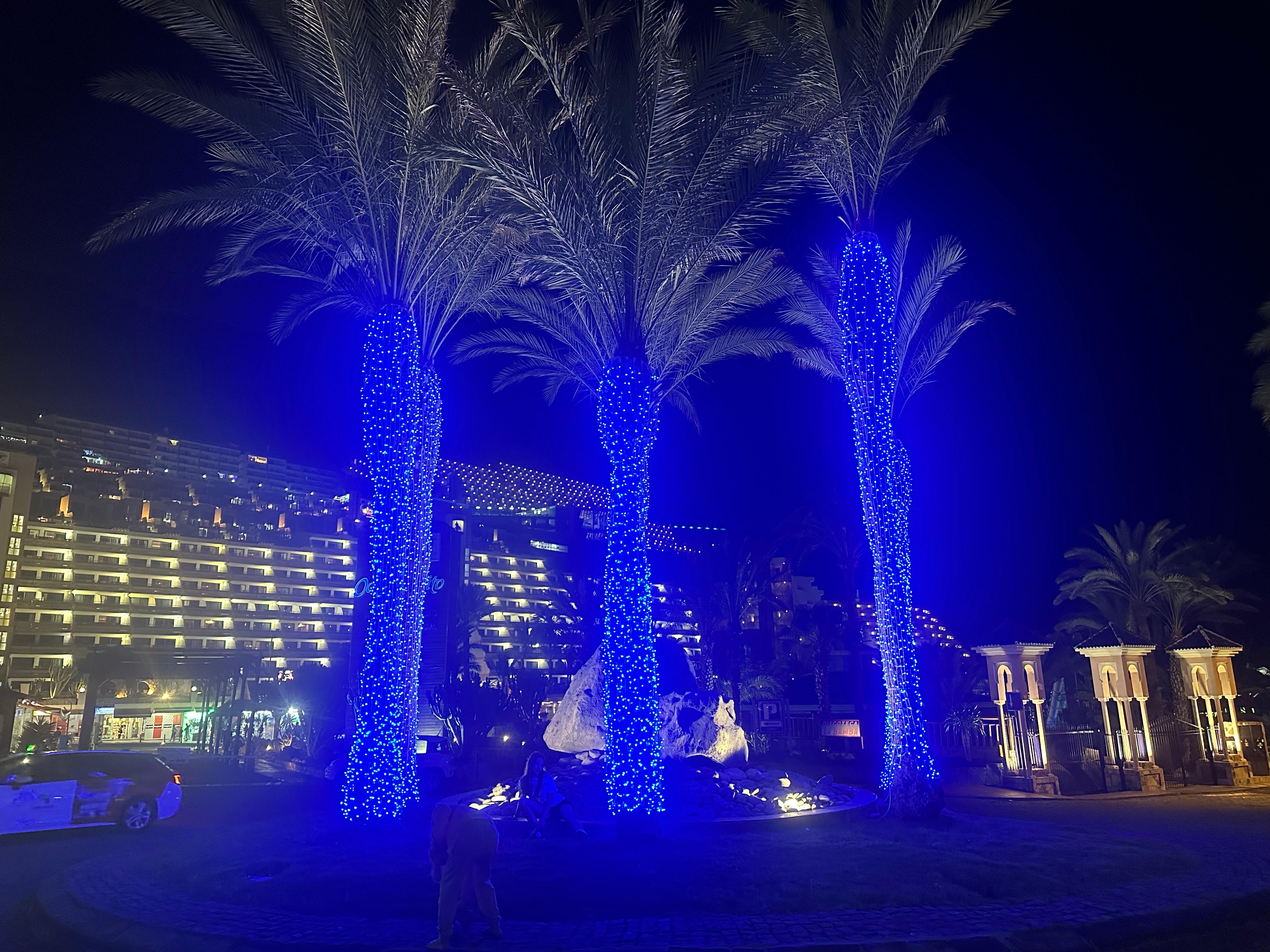 Palm trees in a front of hotel 