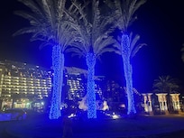 Palm trees in a front of hotel
