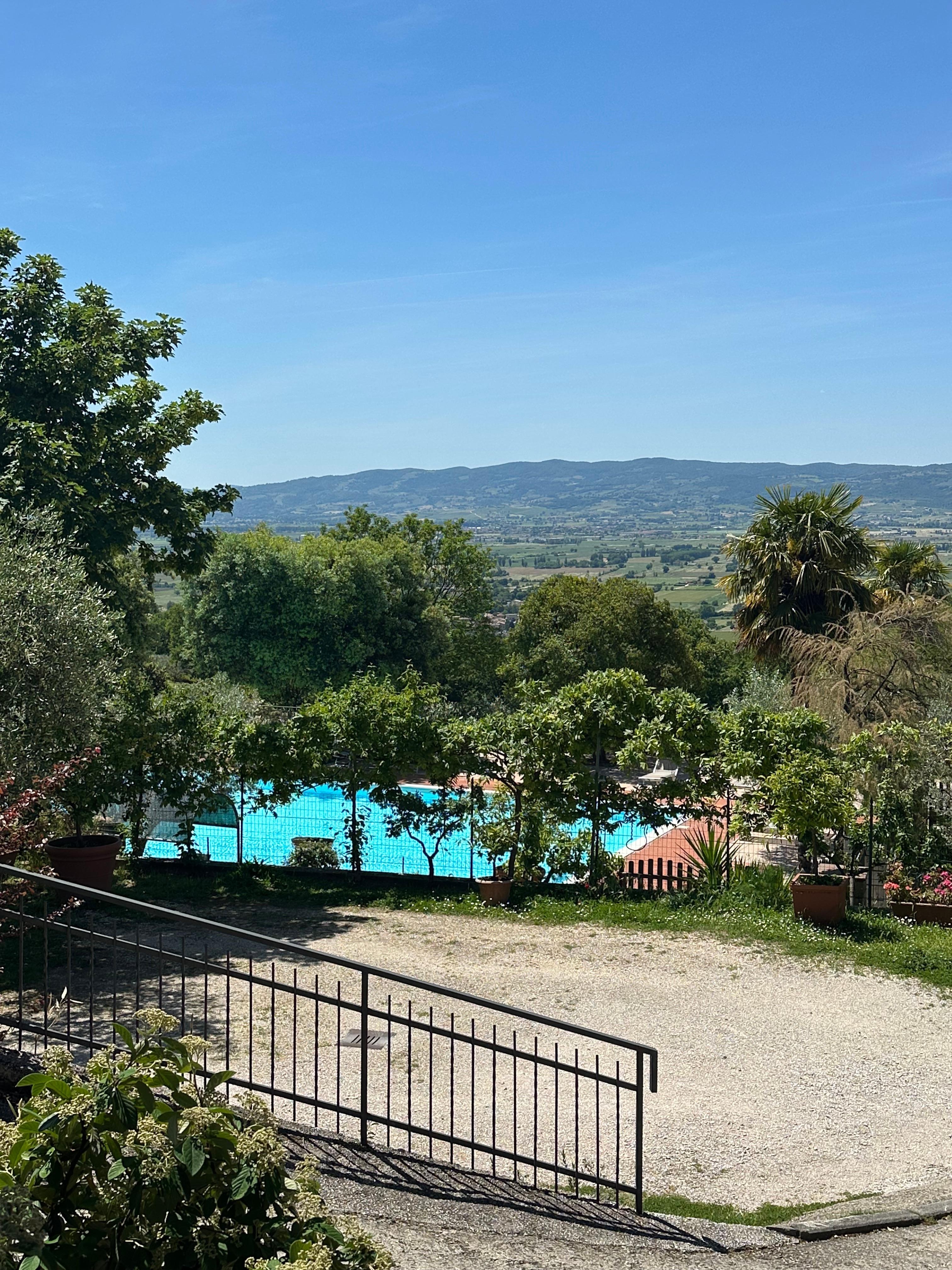 Overlooking the pool