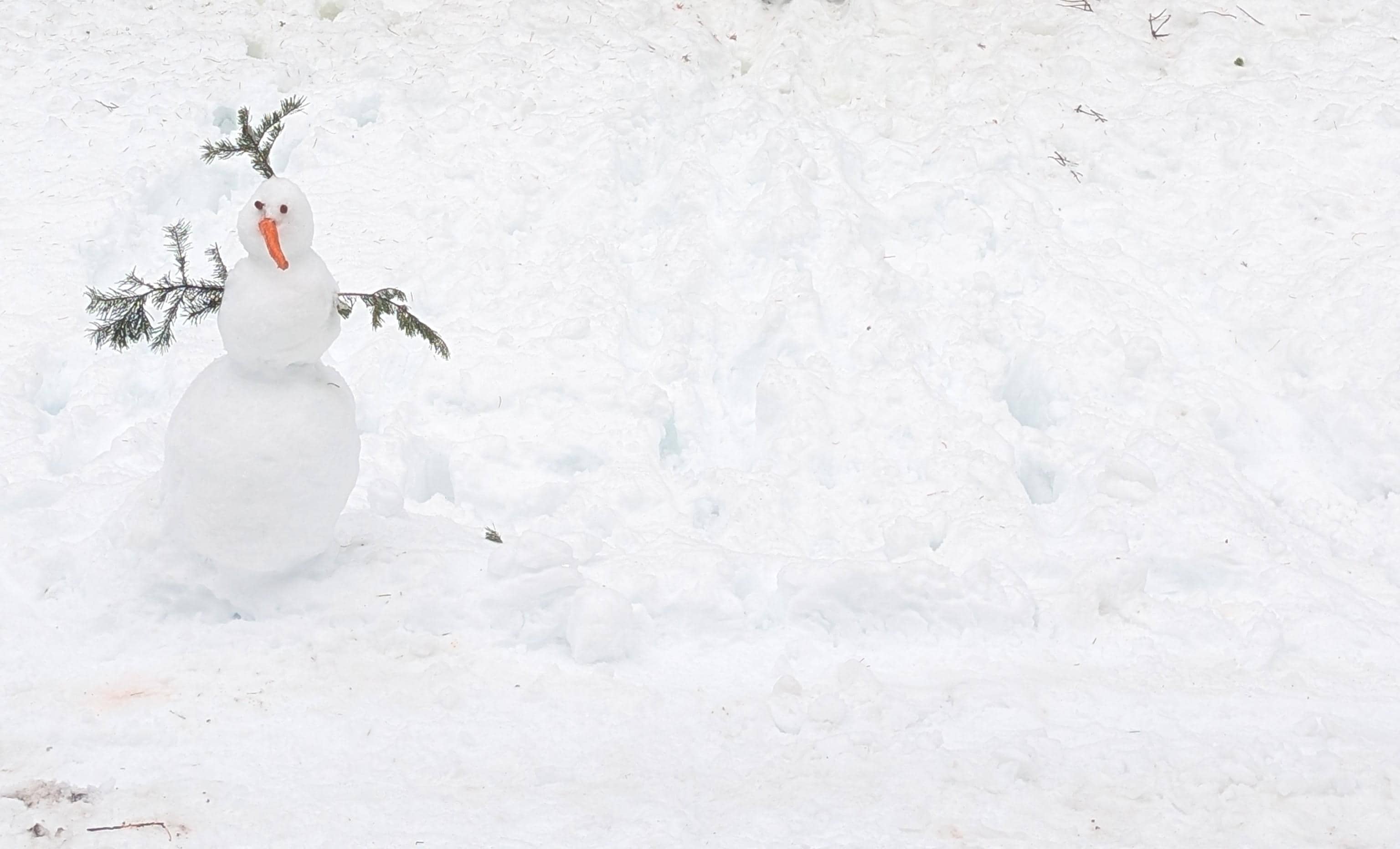 Built a snowman outside of our wonderful cabin!