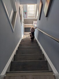 Entire inside is beautiful. (Stairs to the Master suite)