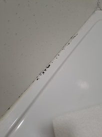 Mould in shower tray