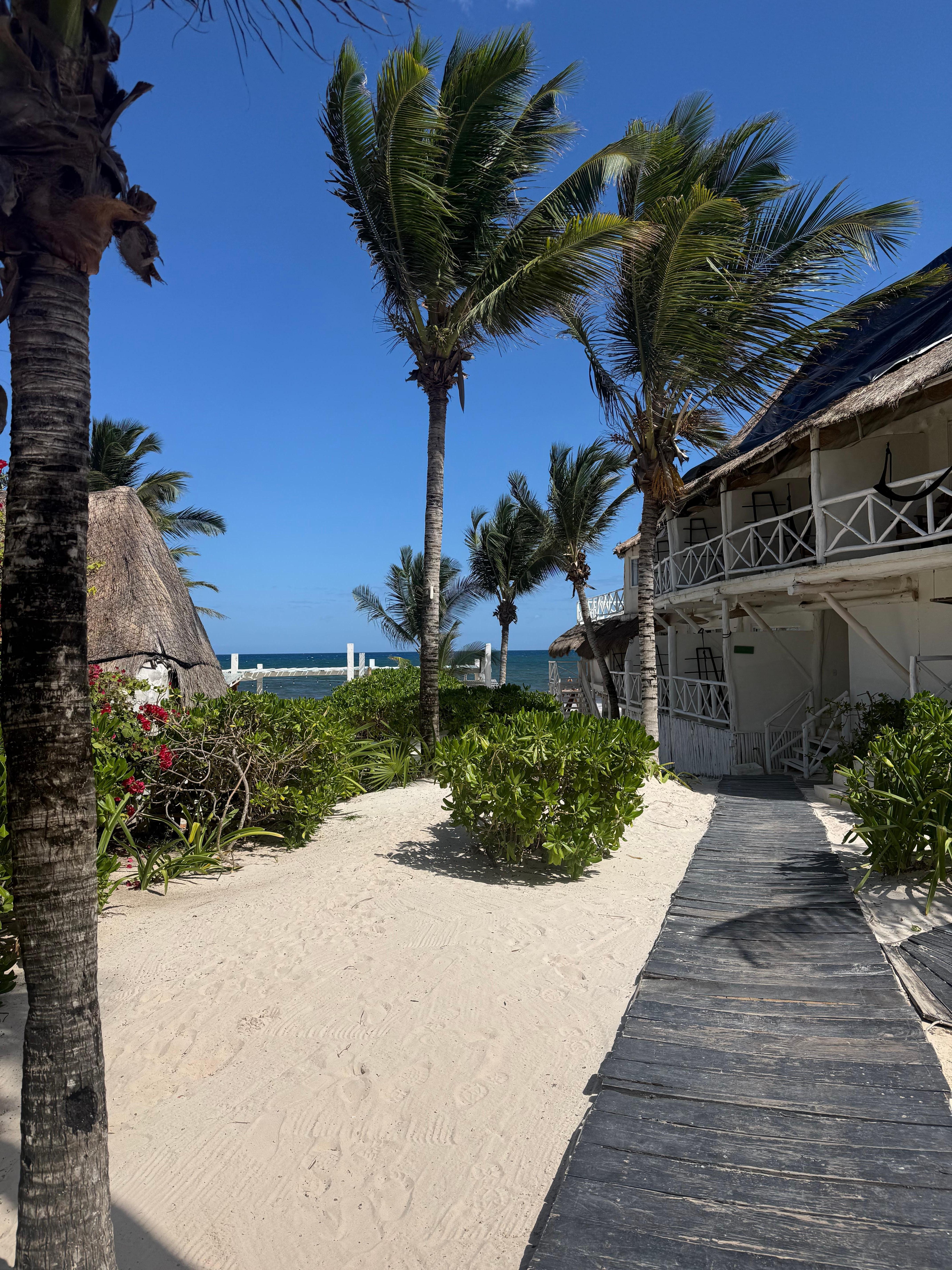 Walkway to beach from room