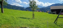 View from the front door.