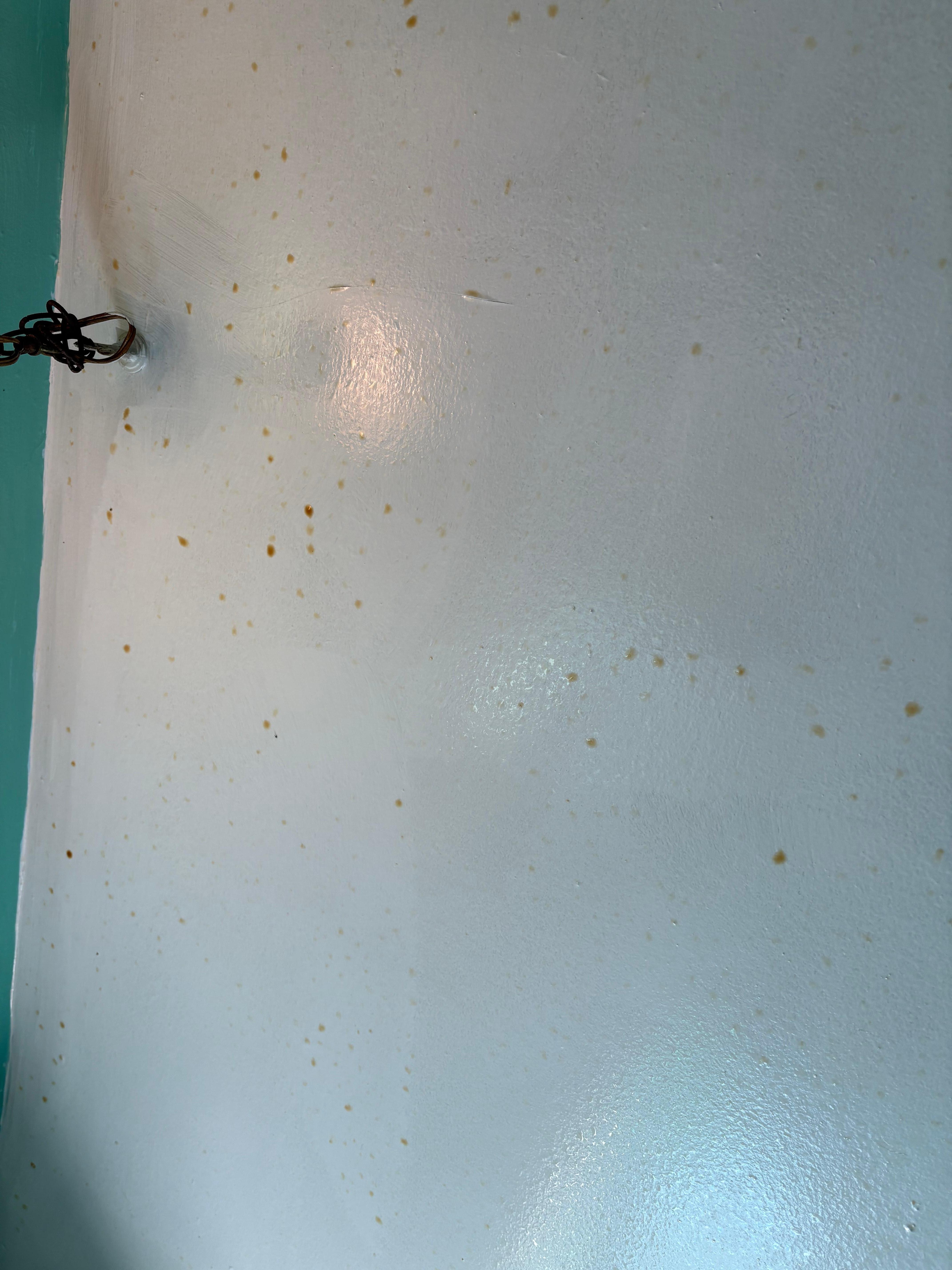 Orange sweat beads on ceiling and walls and tub was dirty