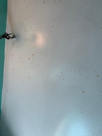Orange sweat beads on ceiling and walls and tub was dirty