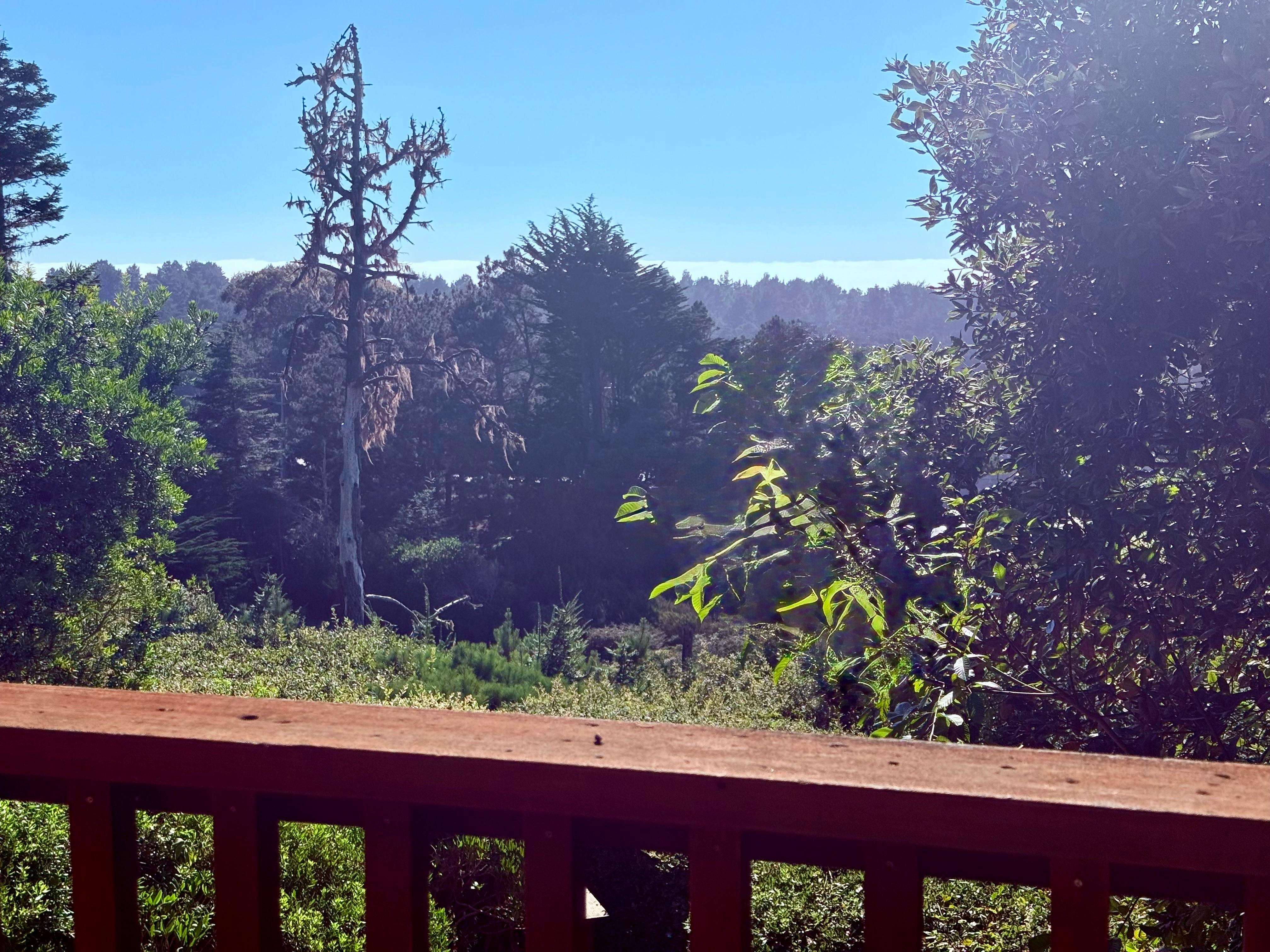 View from our room, from the deck. 