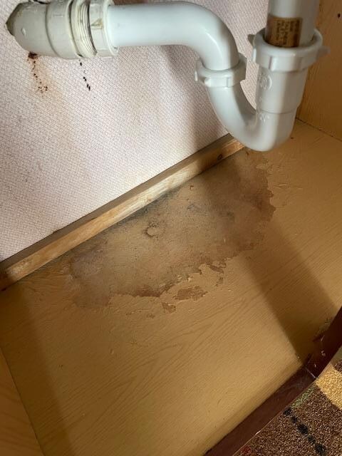 Leak/mildew under sink. 