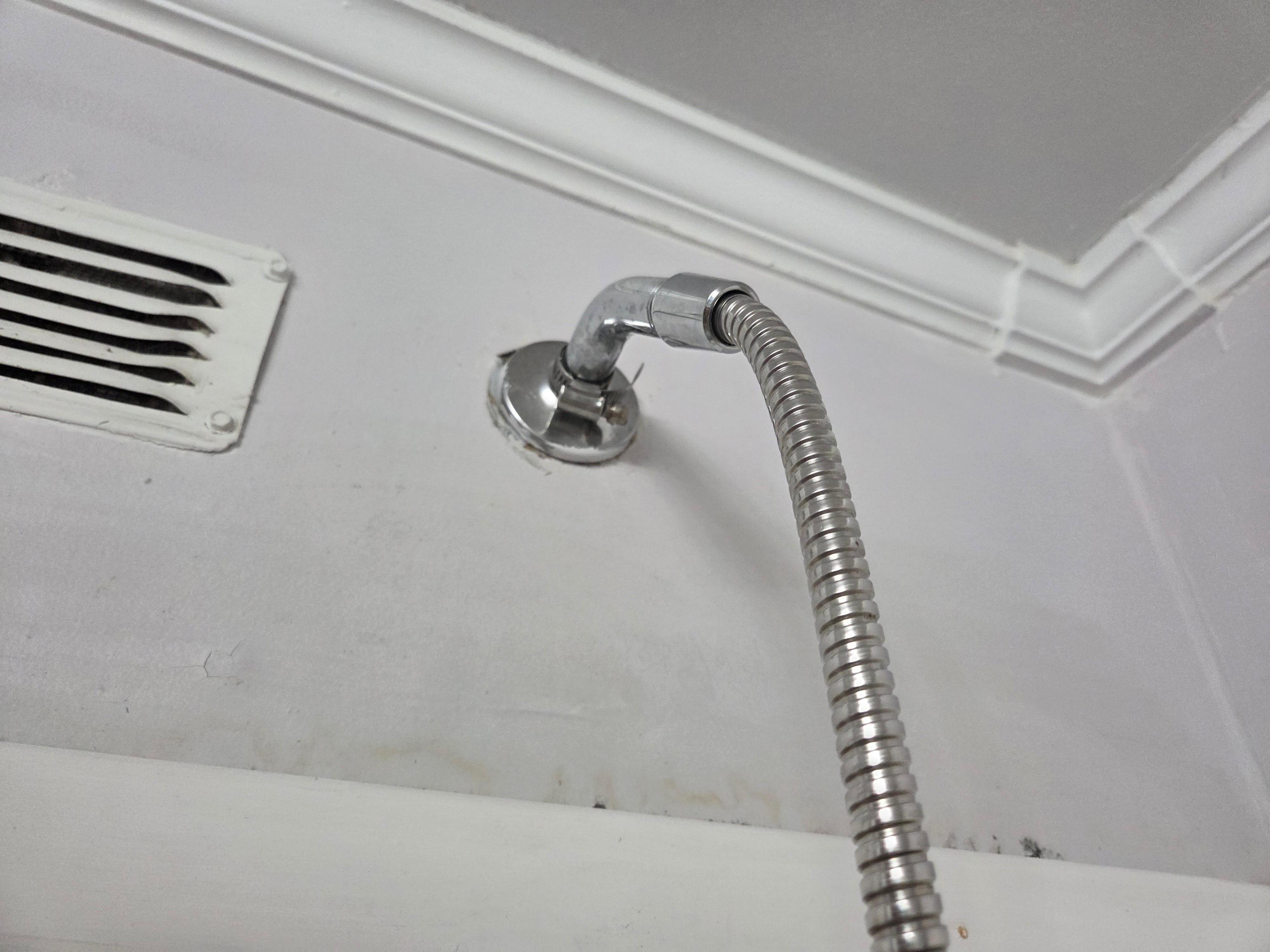 Master Shower needs redoing. Looks like mold.