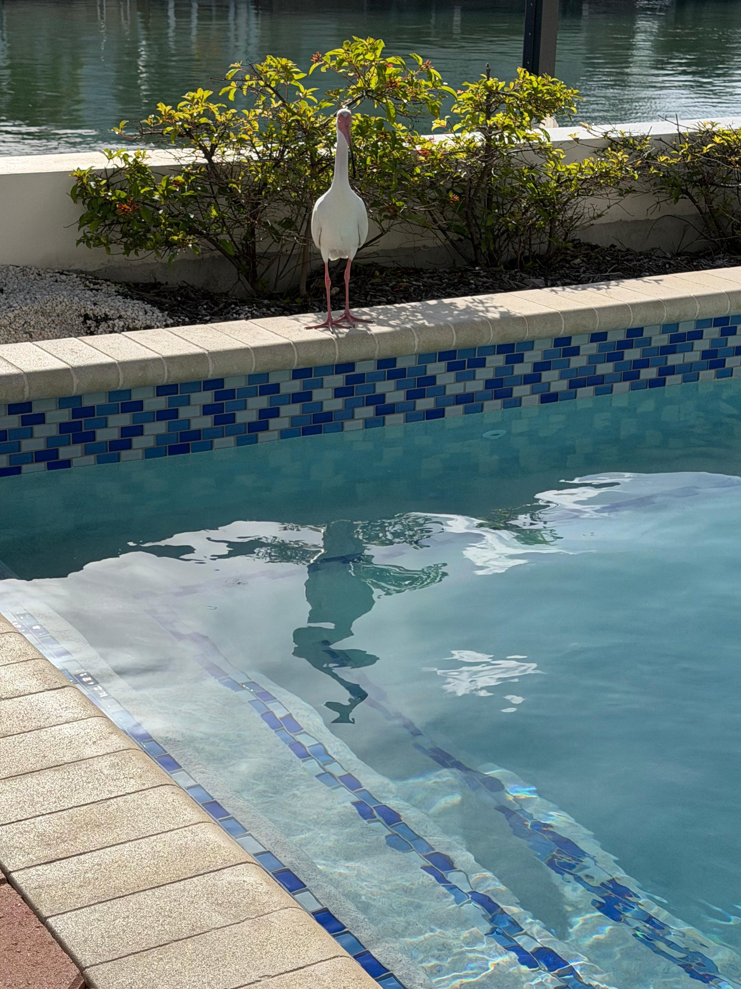 He was pretty chill.