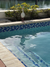 He was pretty chill.