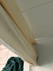 Dirty shower curtain liner upstairs bathroom