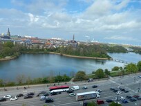 Lovely view of the lake with swans