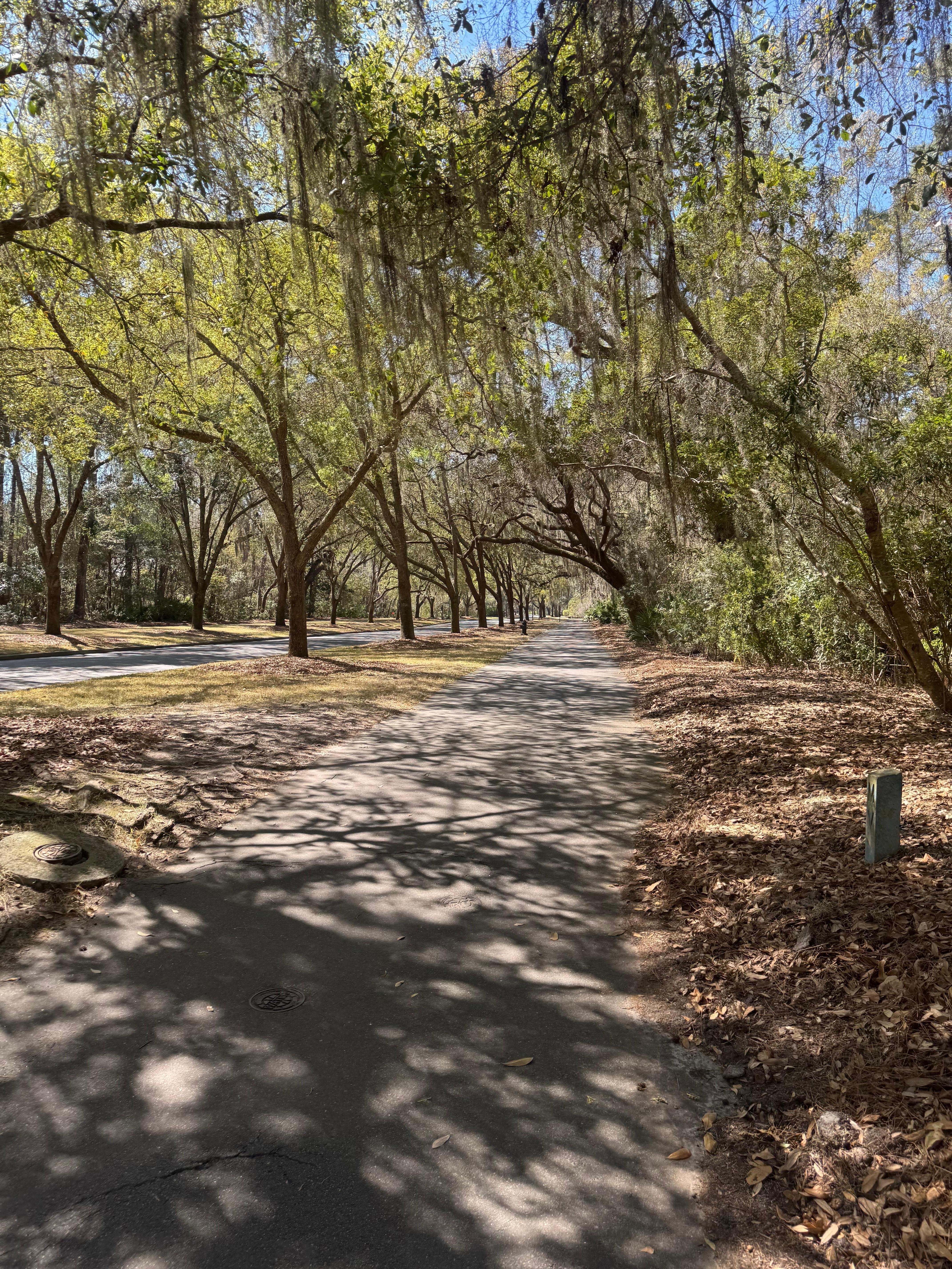 Beautiful area to walk all over!