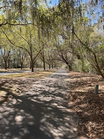 Beautiful area to walk all over!