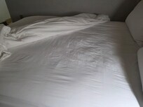Look like an old sheet.