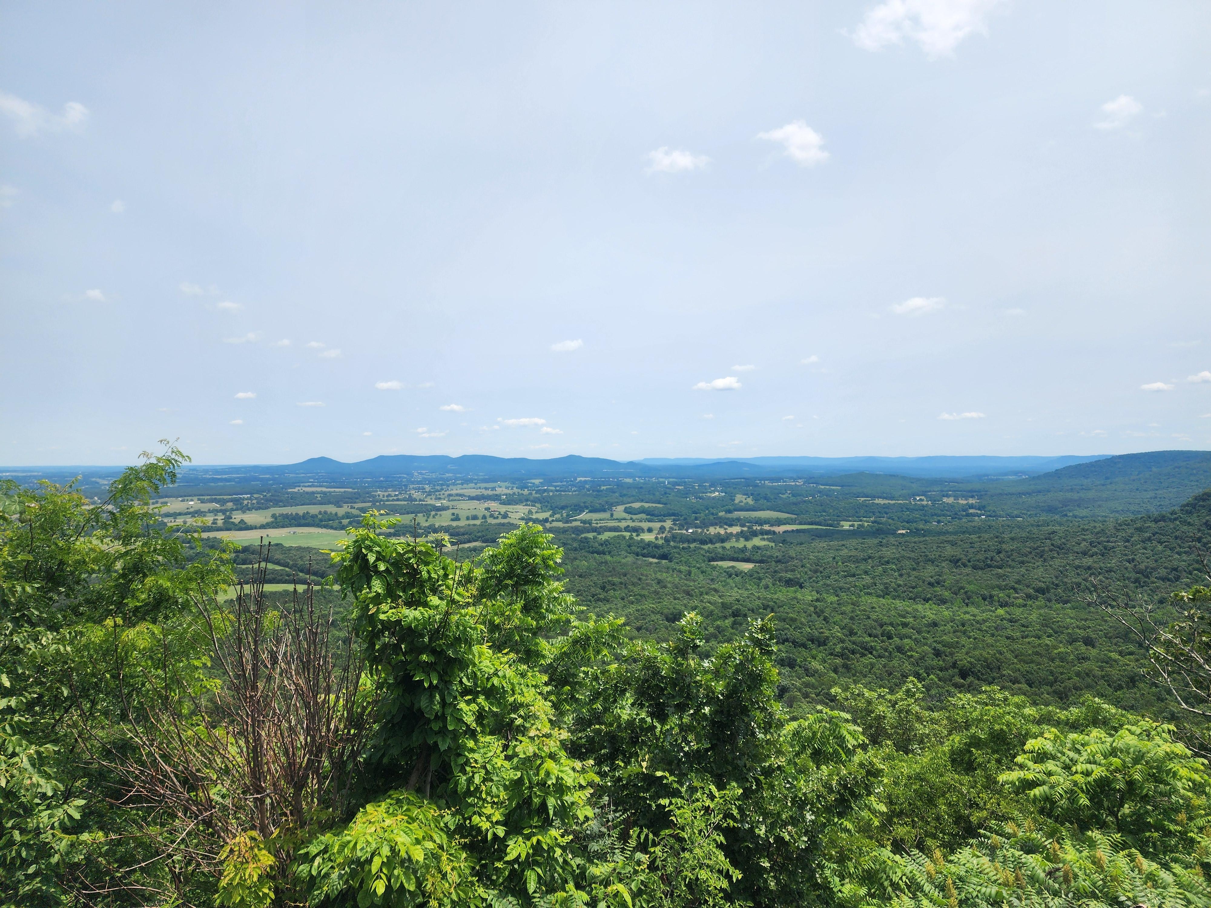 View going up to the house