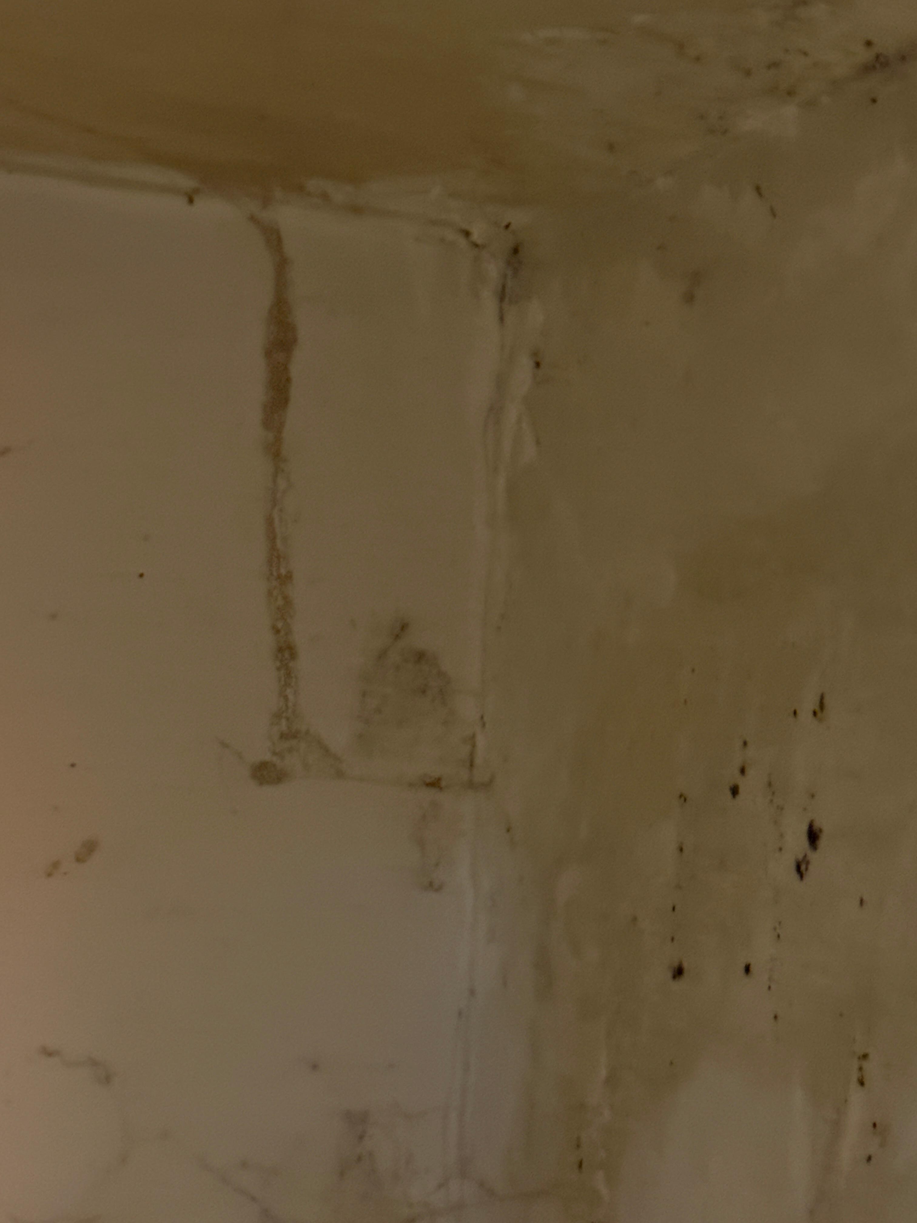 Large cobwebs under desk unit in full view.