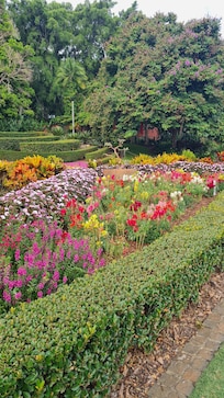 Short walk down to the parklands