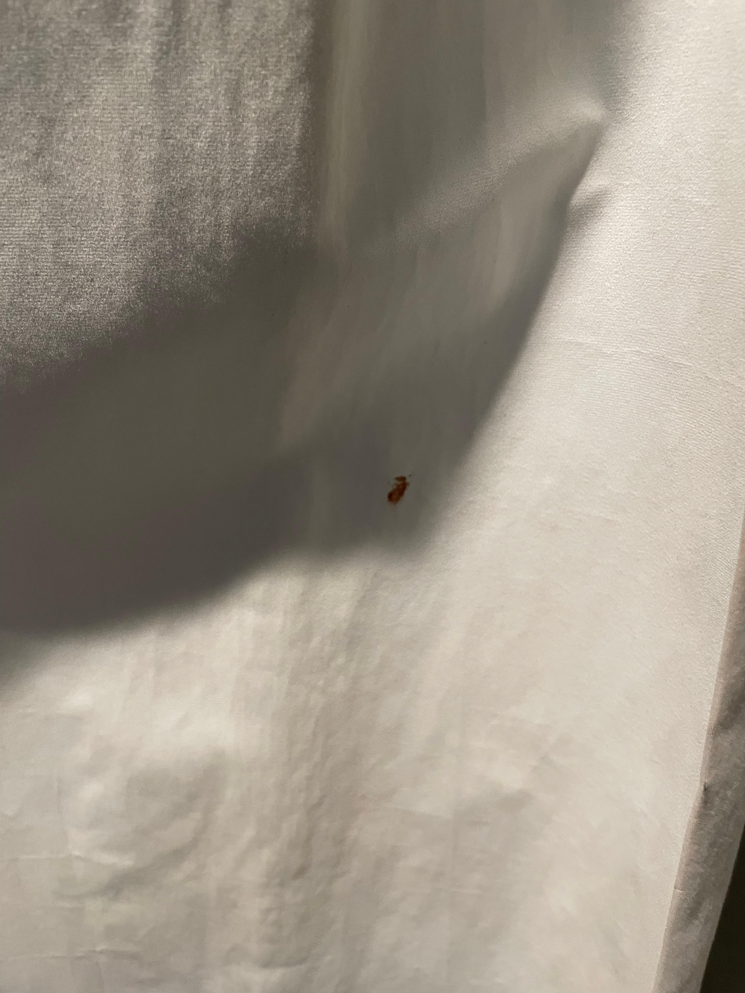 blood stains on the curtain