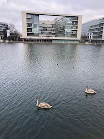 Holzhafen in Duisburg