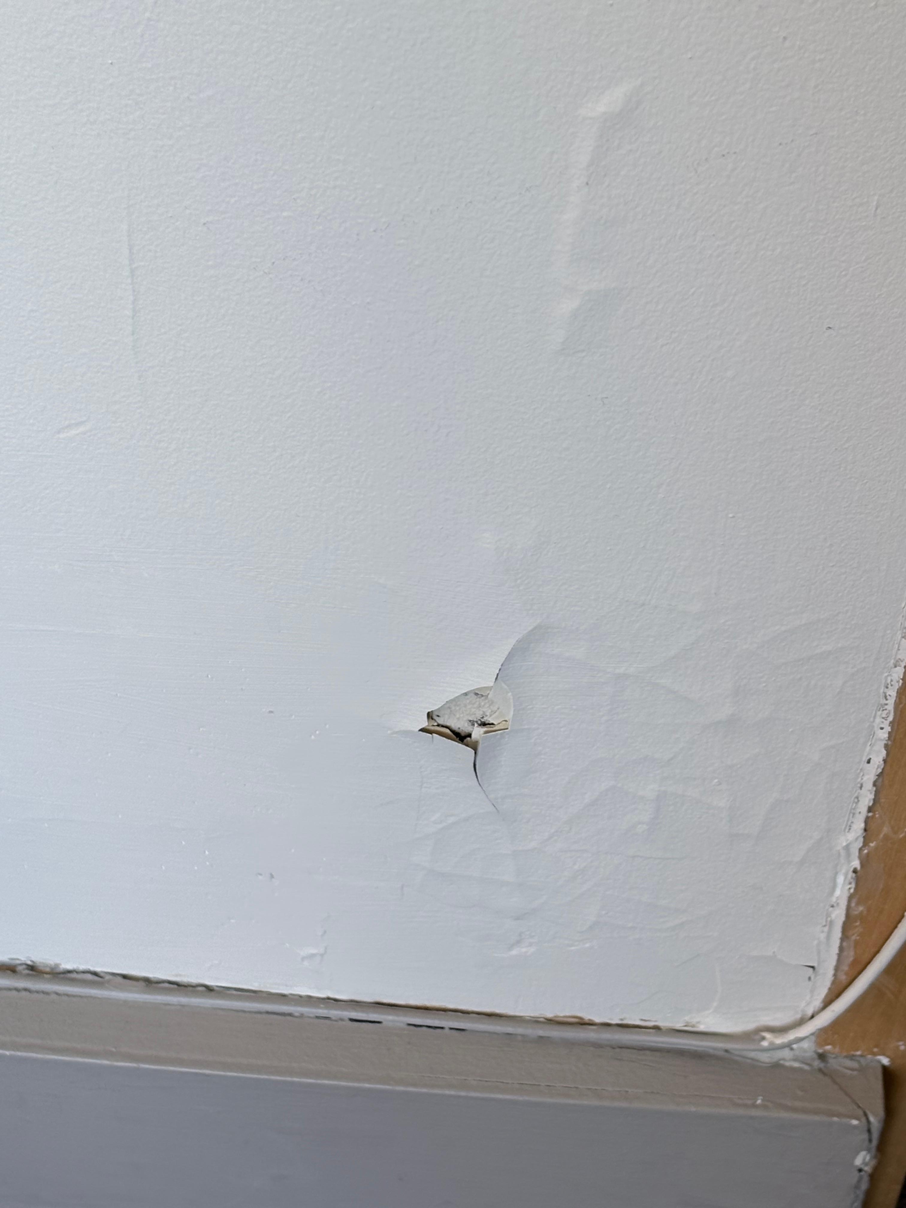 Walls Peeling 