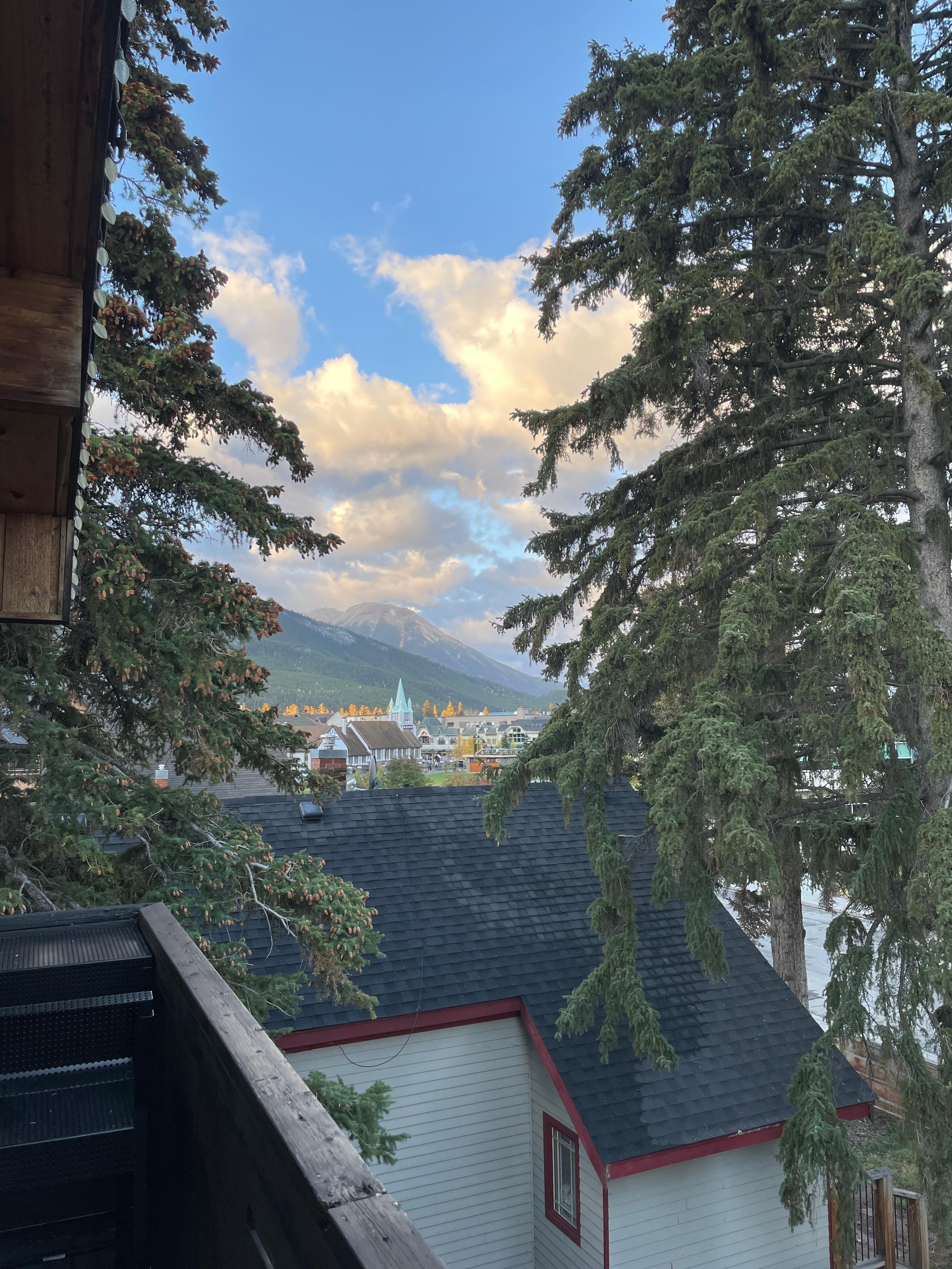 The view looking north over the church.