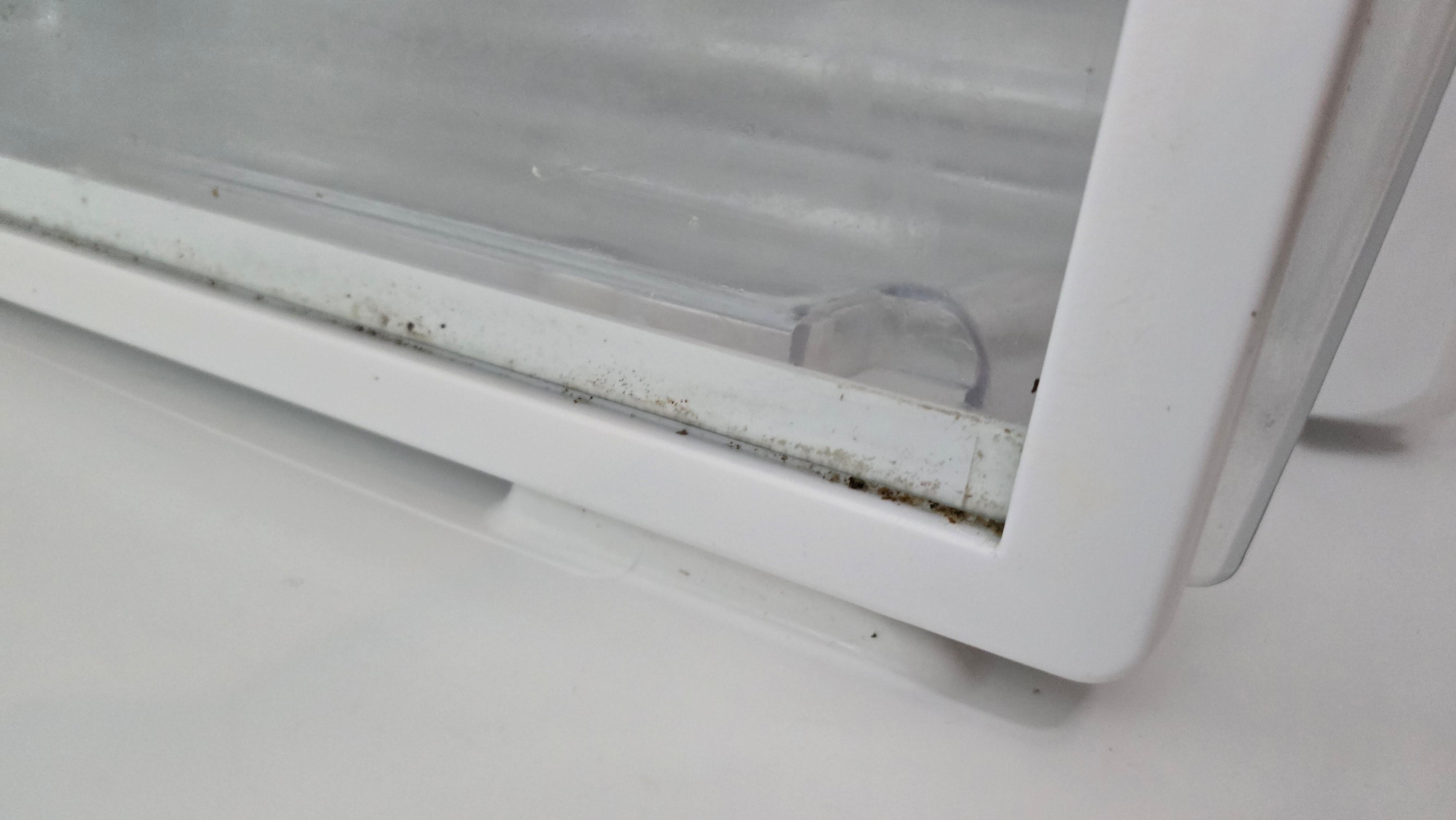 This is the refrigerator. Underneath this removable piece of glass was extremely nasty.