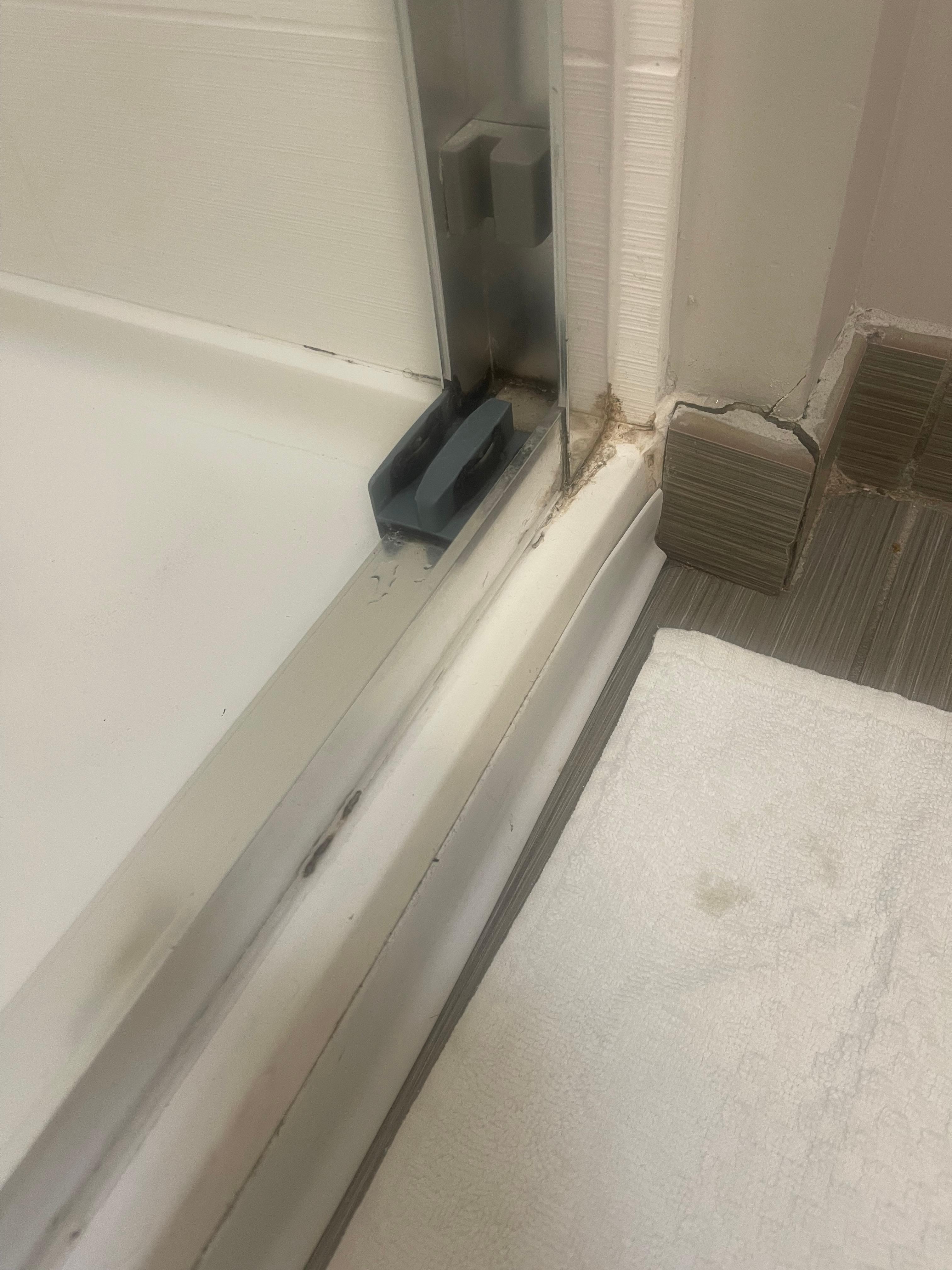 Black mold