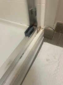 Black mold