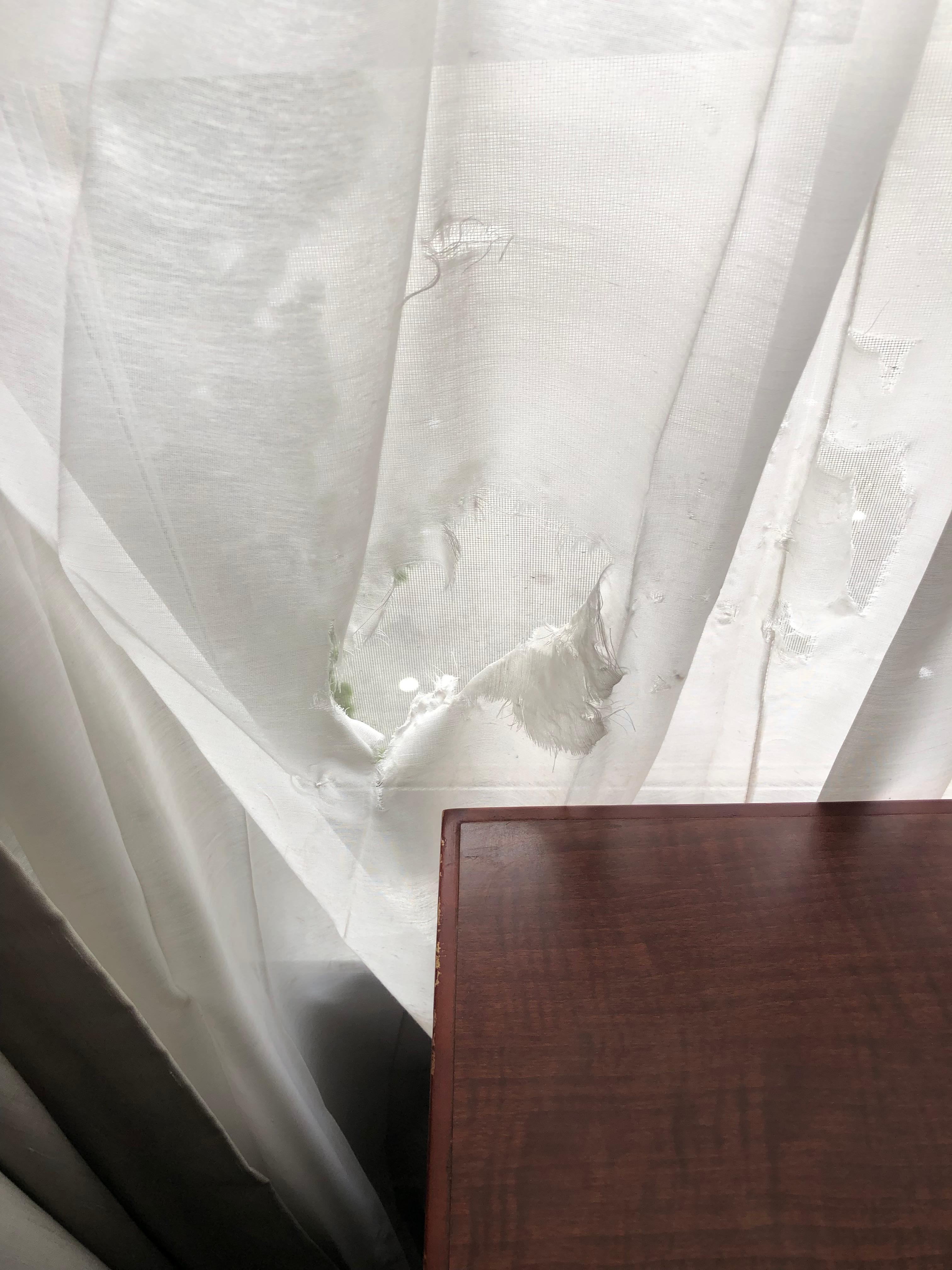 Torn curtains 