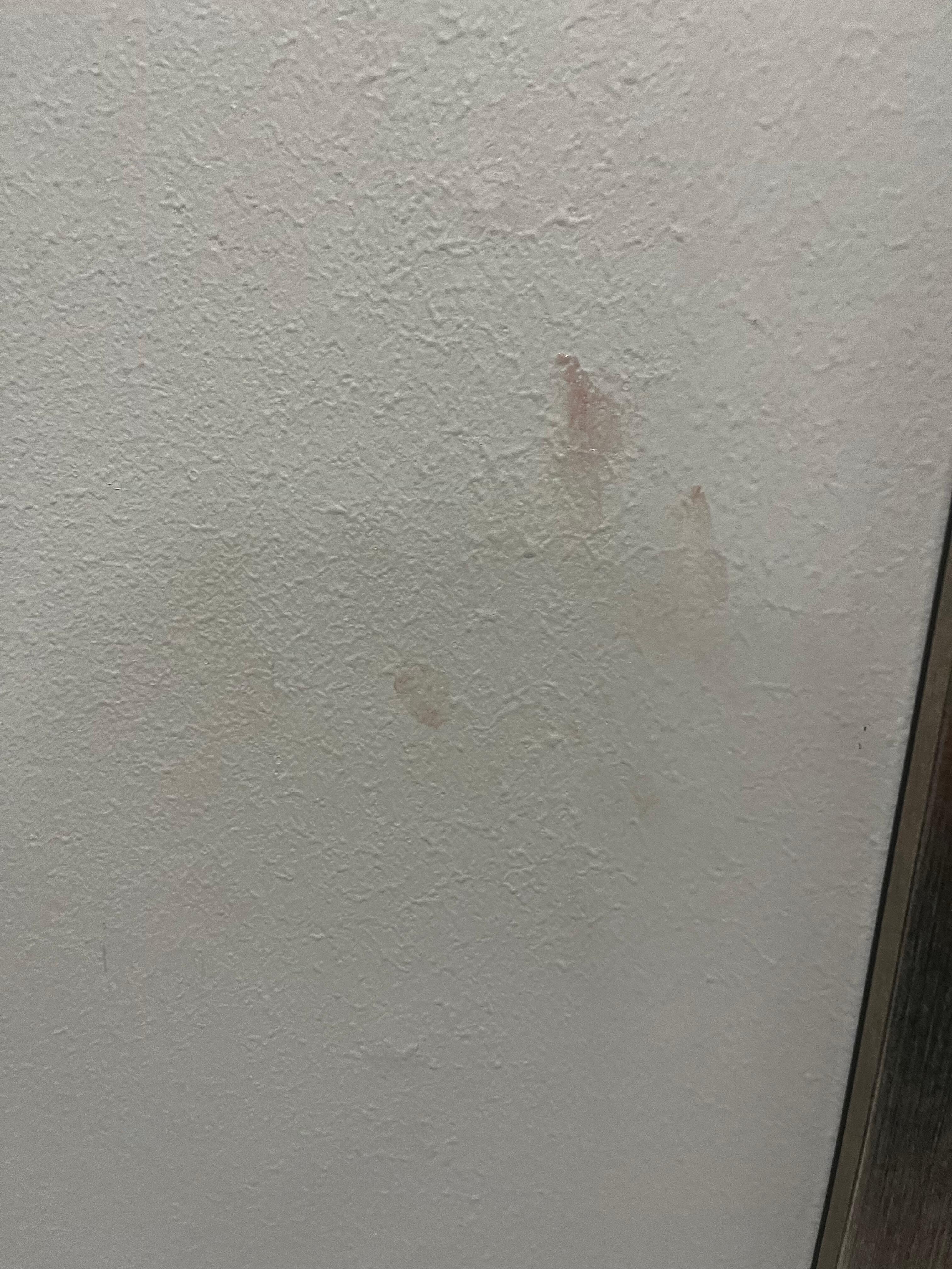 Make or body fluids up on walls bed sheets 
