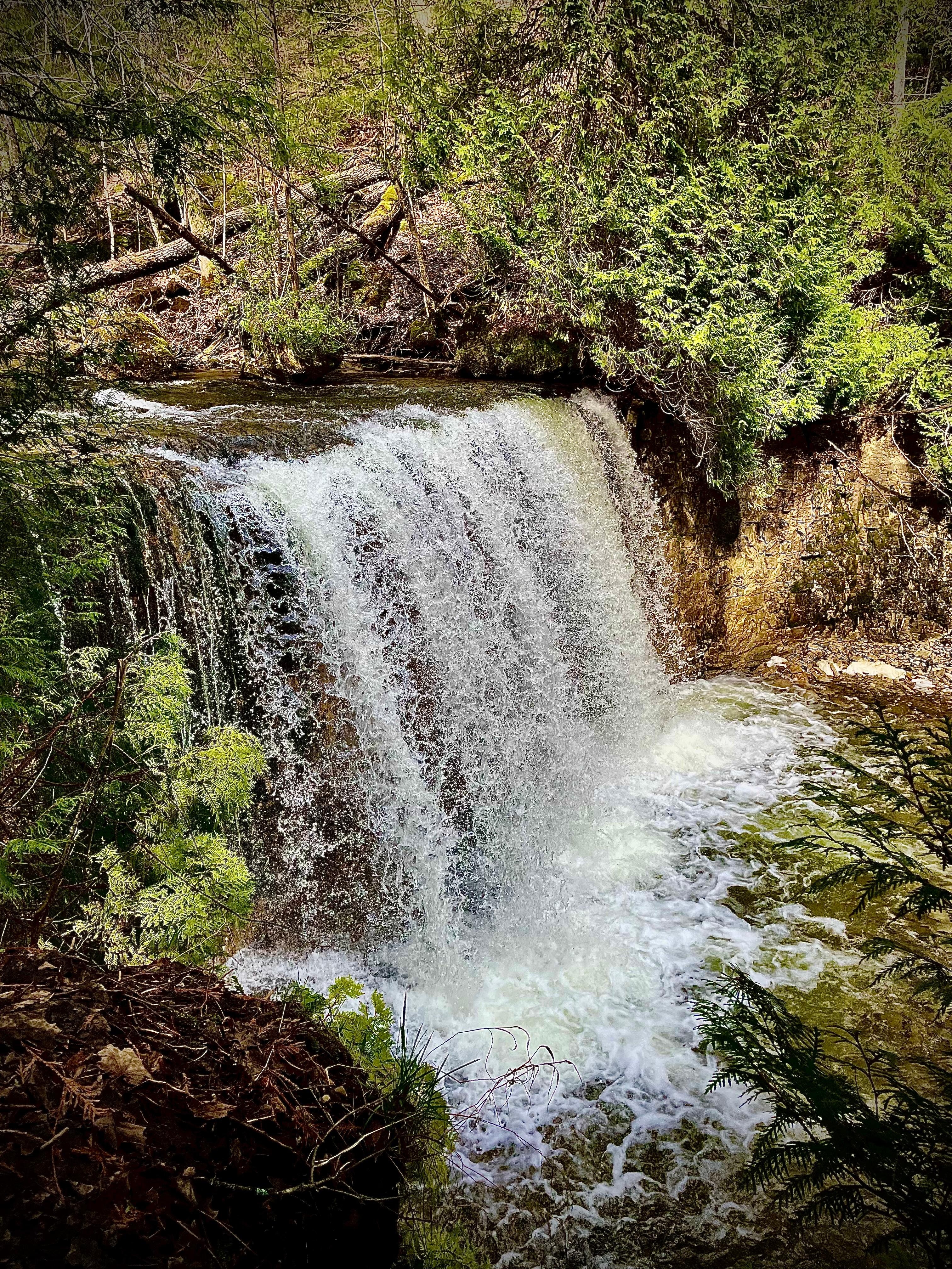 Hogg’s Falls from the top