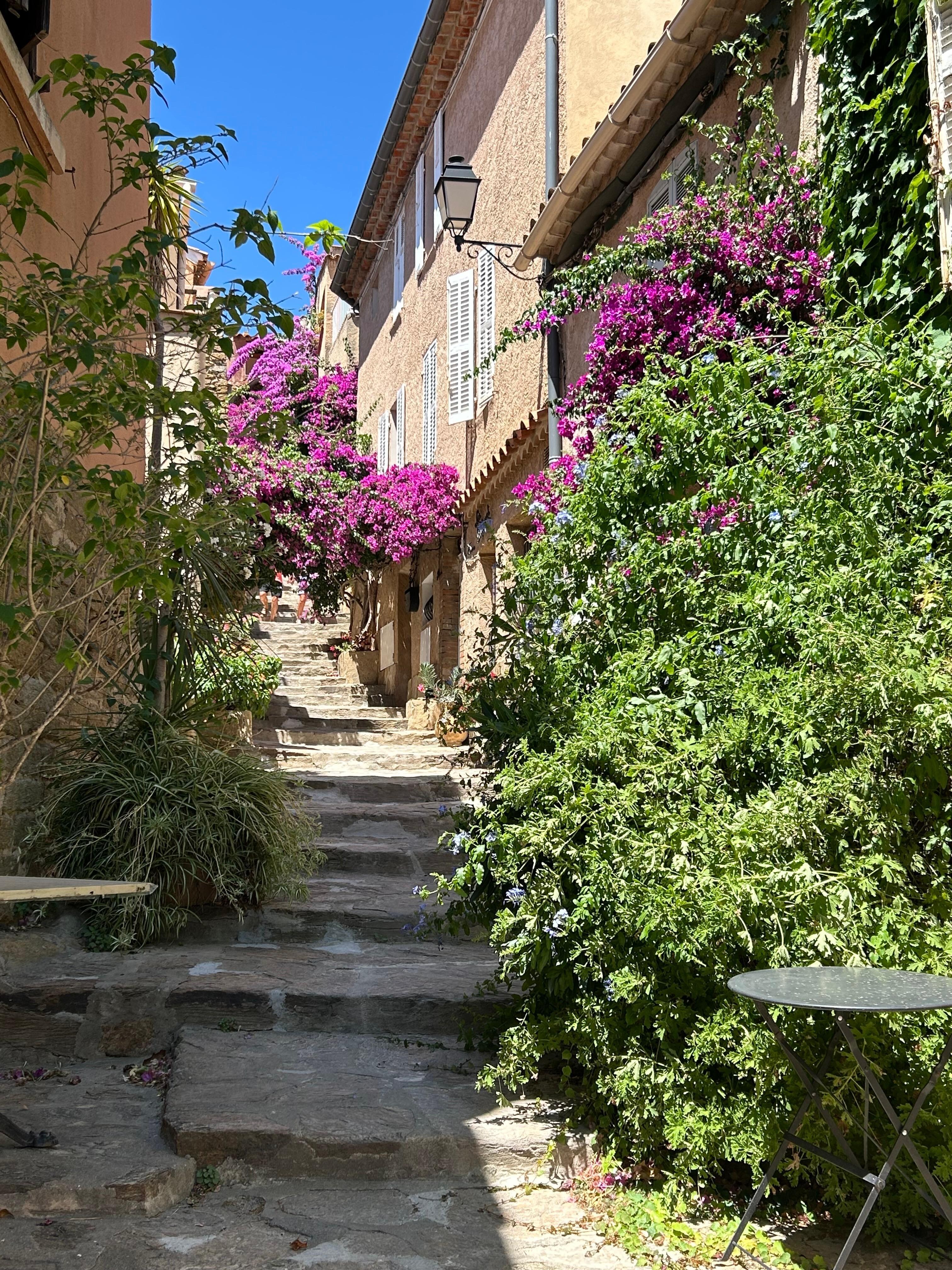 Bormes les mimosas 