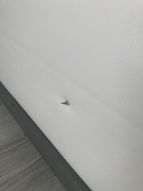 Exposed screw