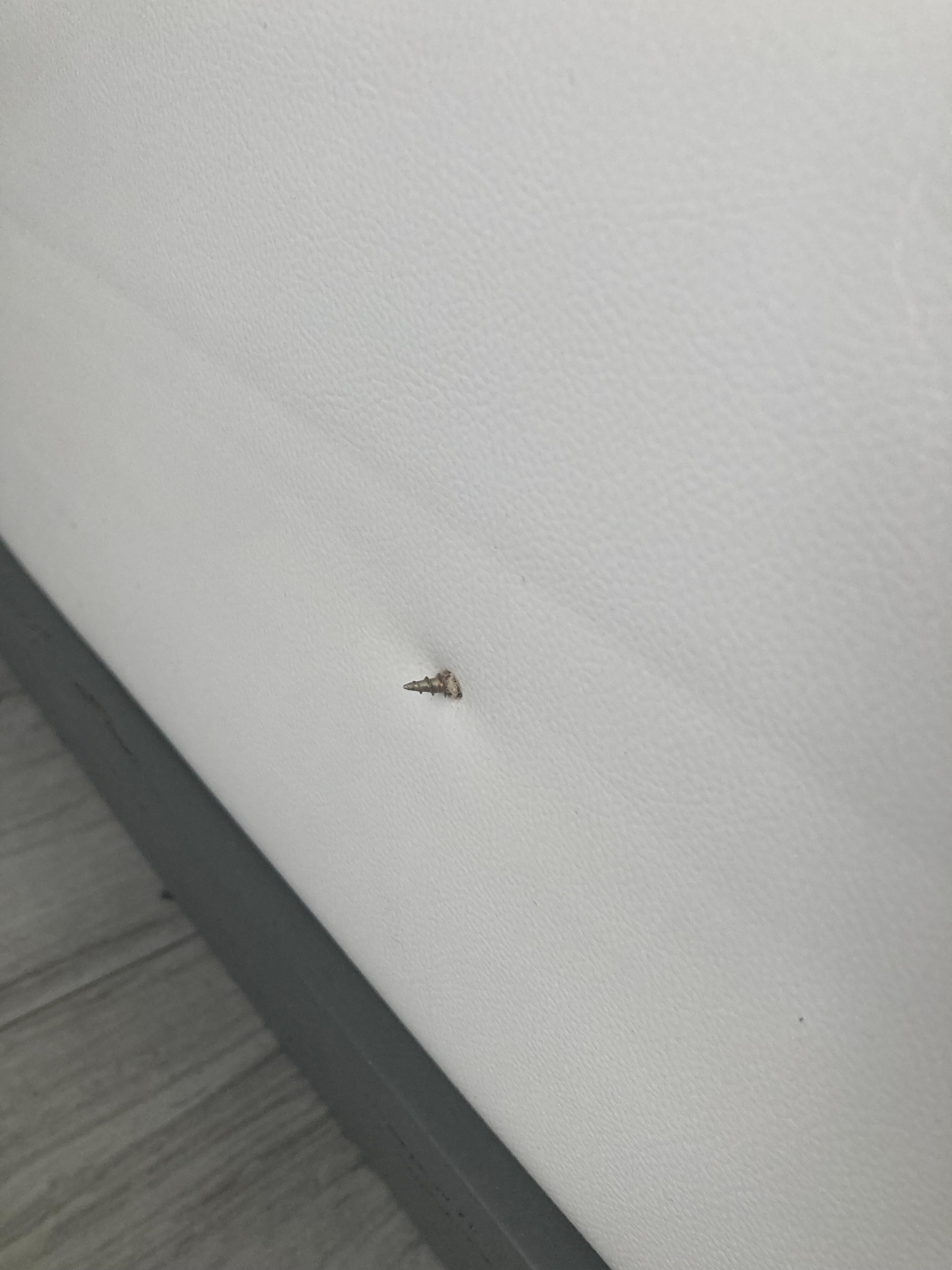 Exposed screw