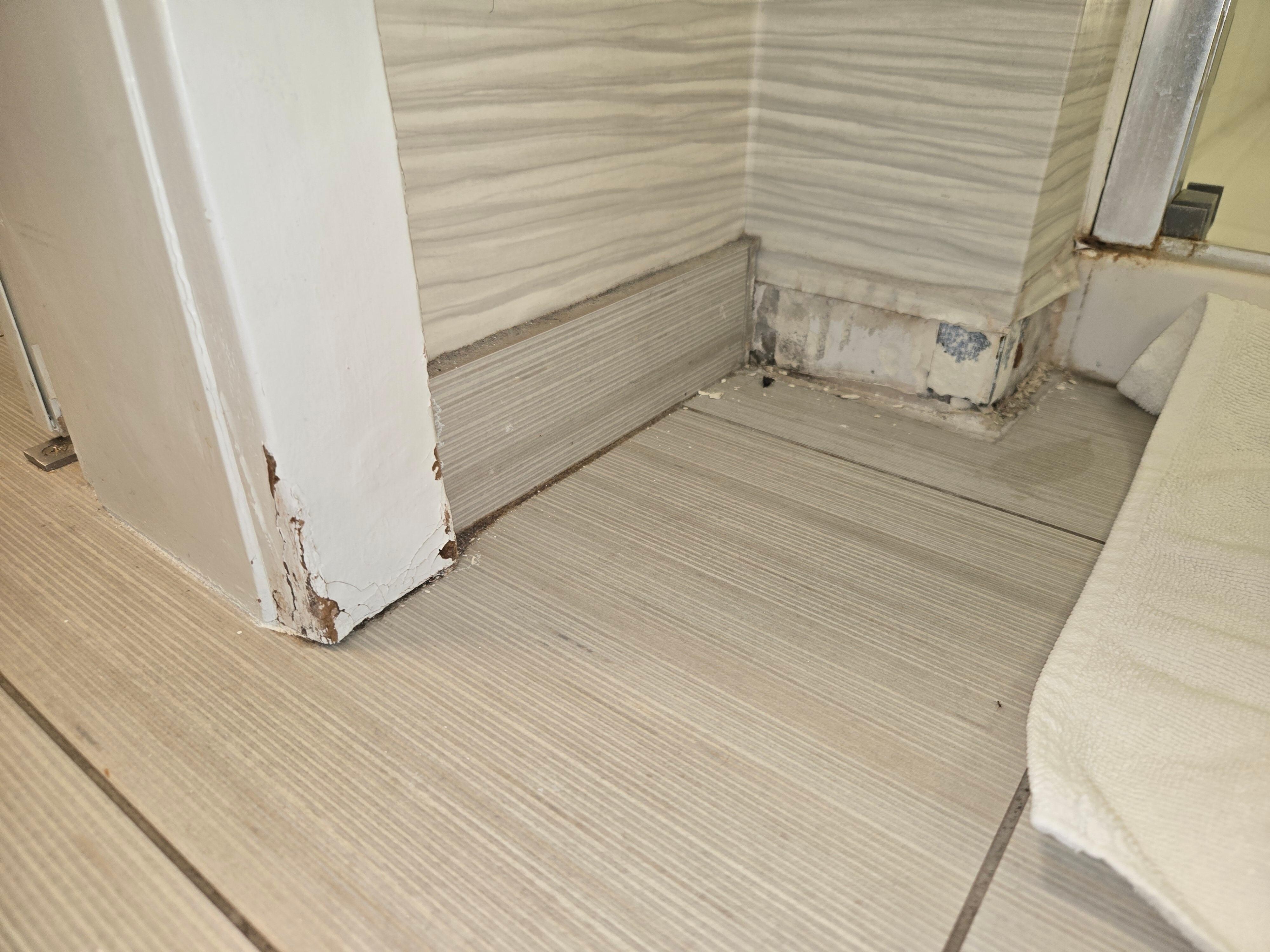 Missing base boards and ants
