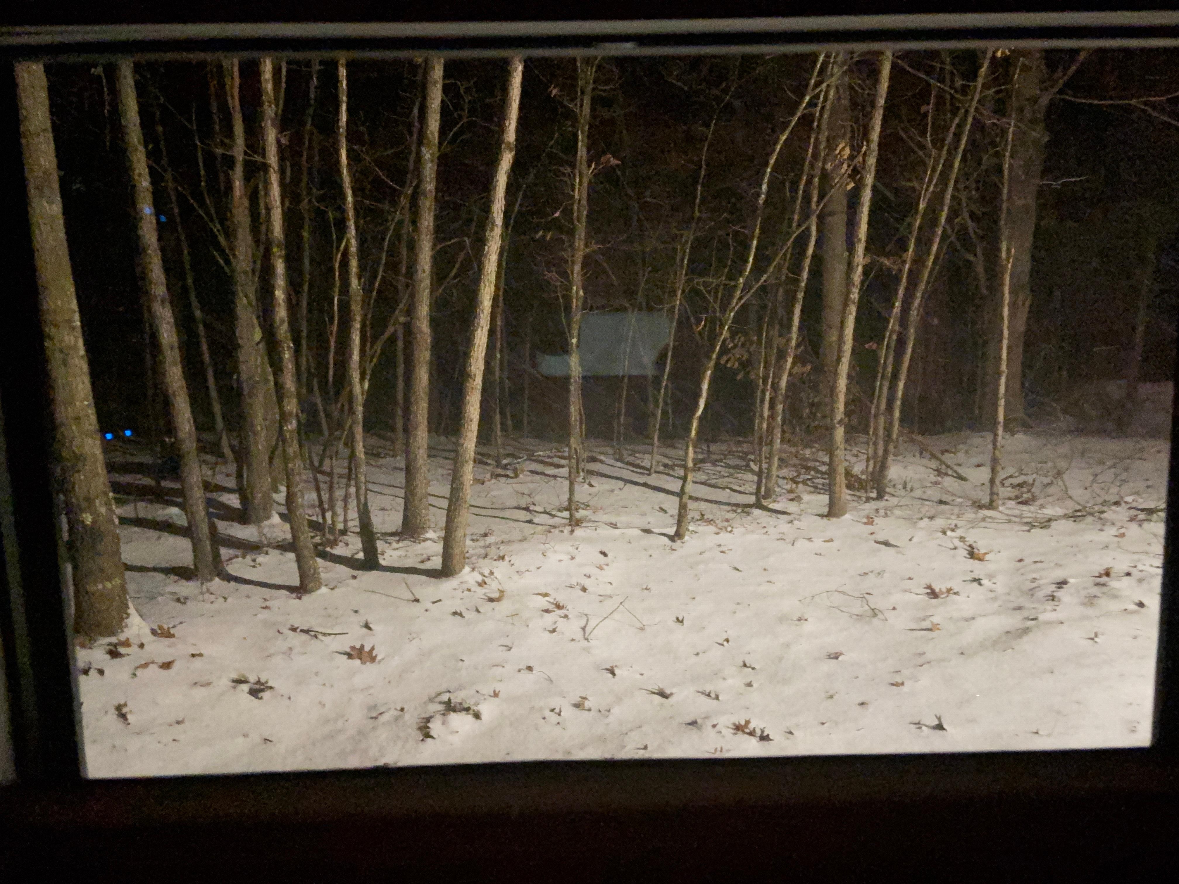 The view outside the kitchen window looking for elk :)