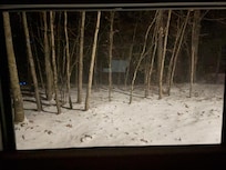 The view outside the kitchen window looking for elk :)