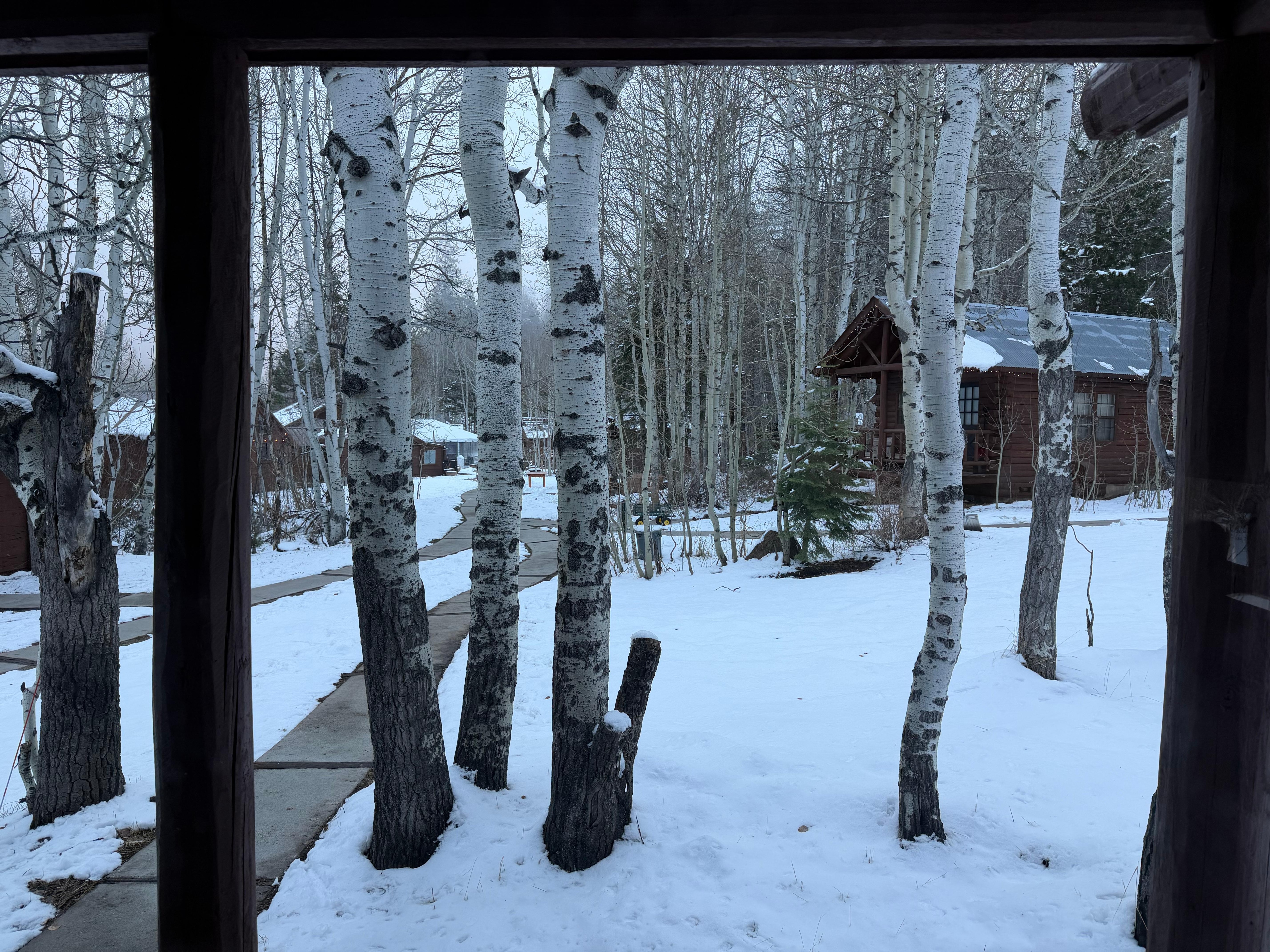Cabin view, snow in November 